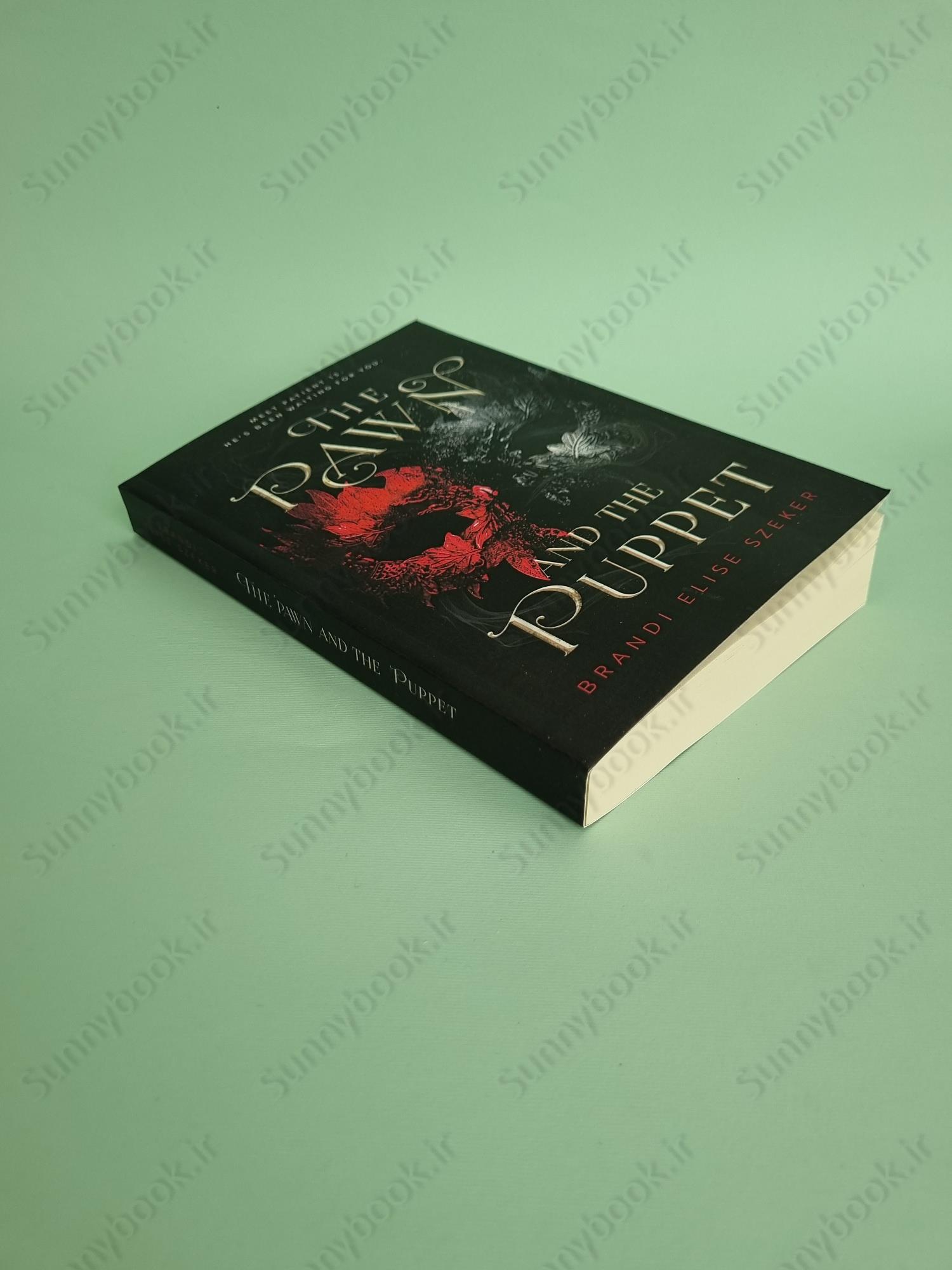 The Pawn and The Puppet Book 1 main 1 3