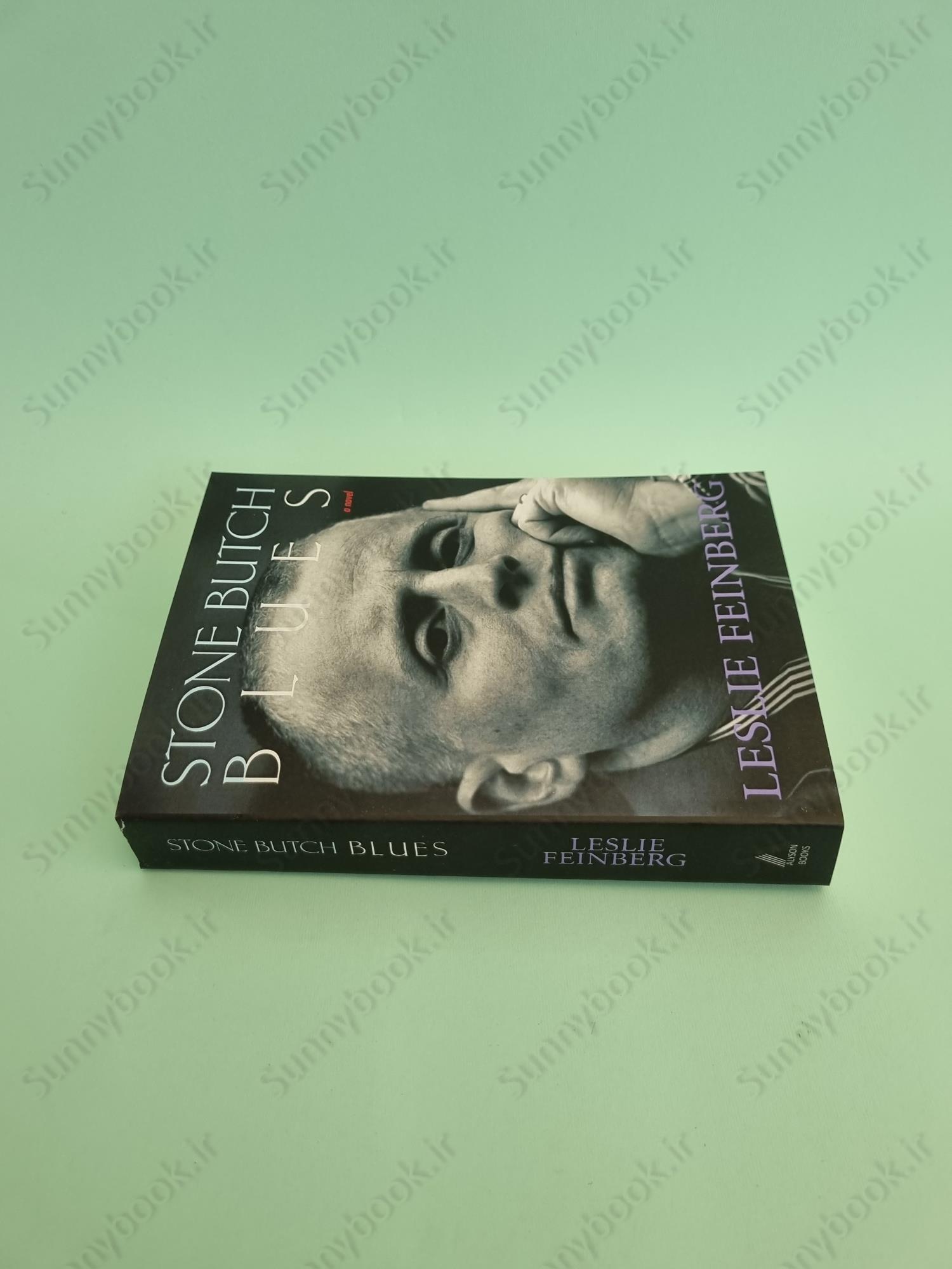 Stone Butch Blues main 1 4