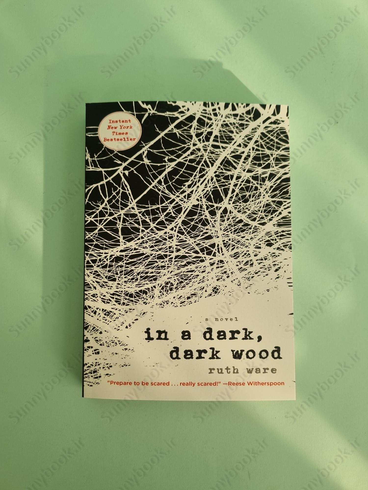 In a Dark, Dark Wood main 1 2