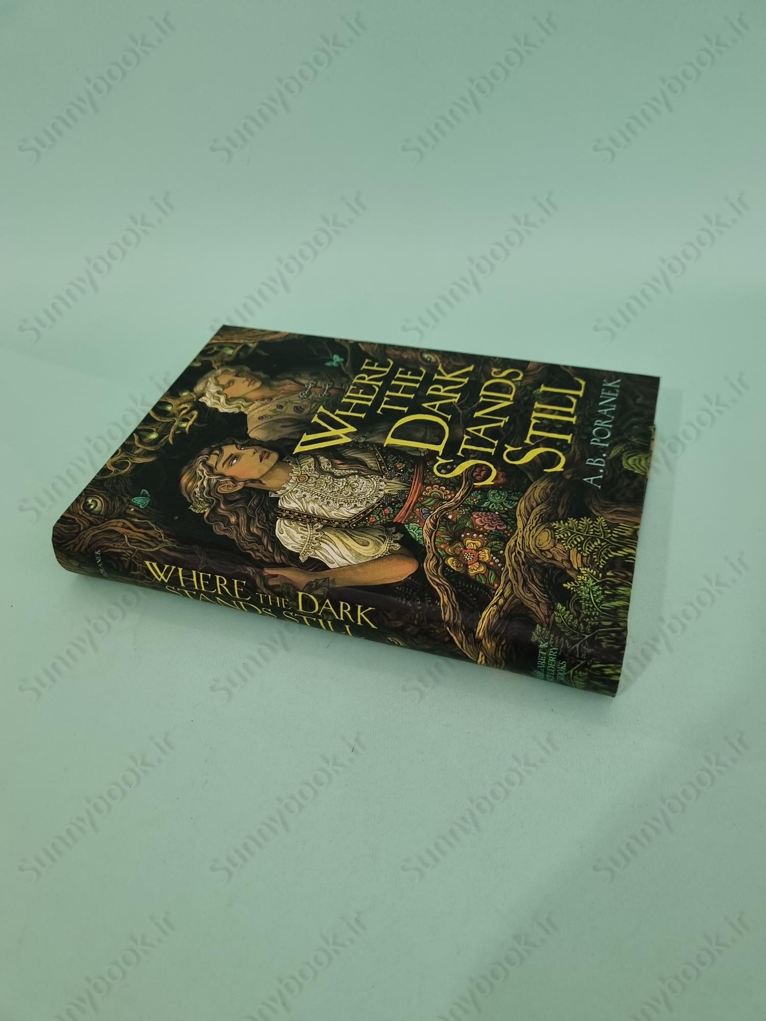 Where the Dark Stands Still main 1 3