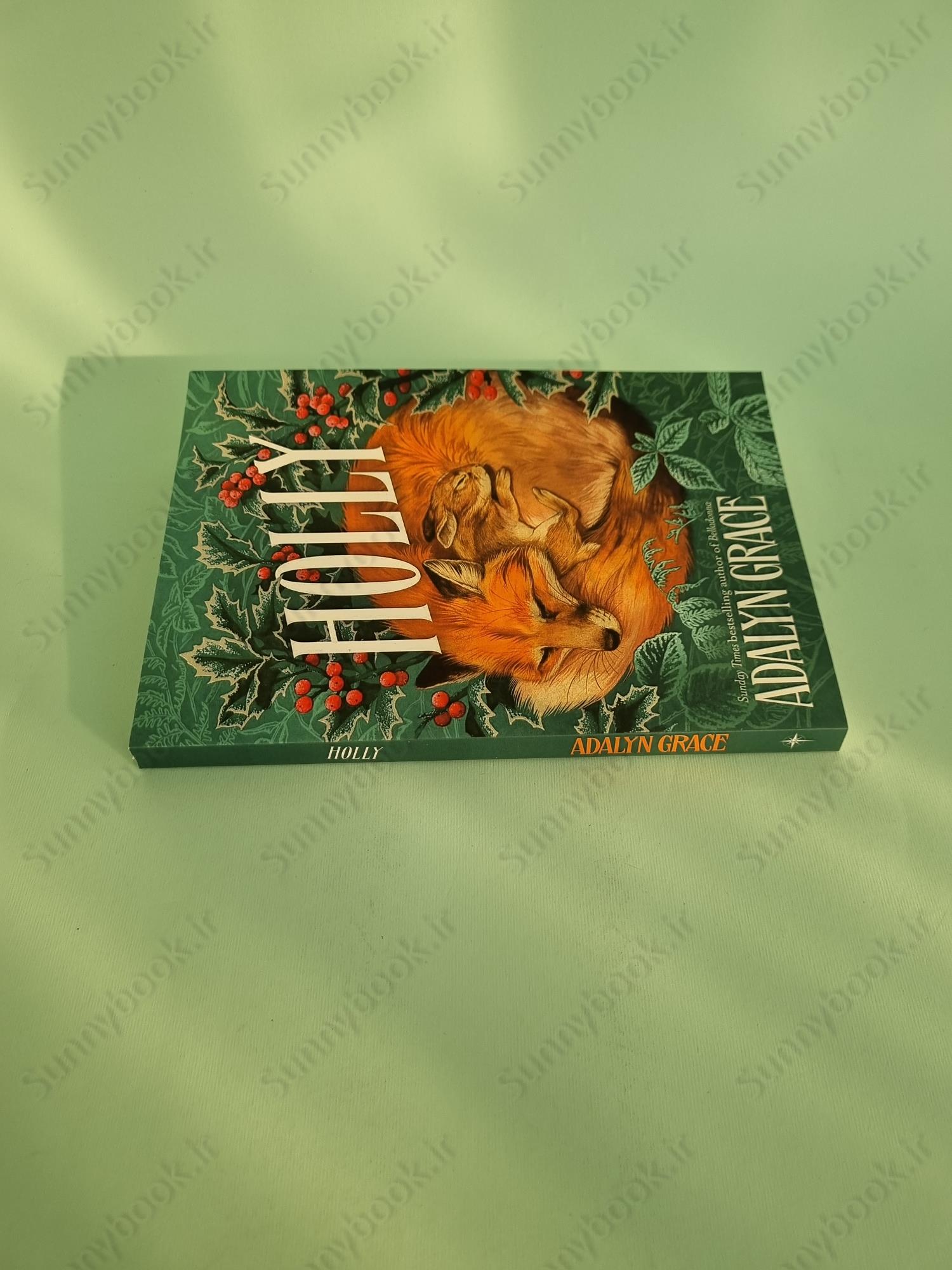 Holly: A Belladonna Novella main 1 4