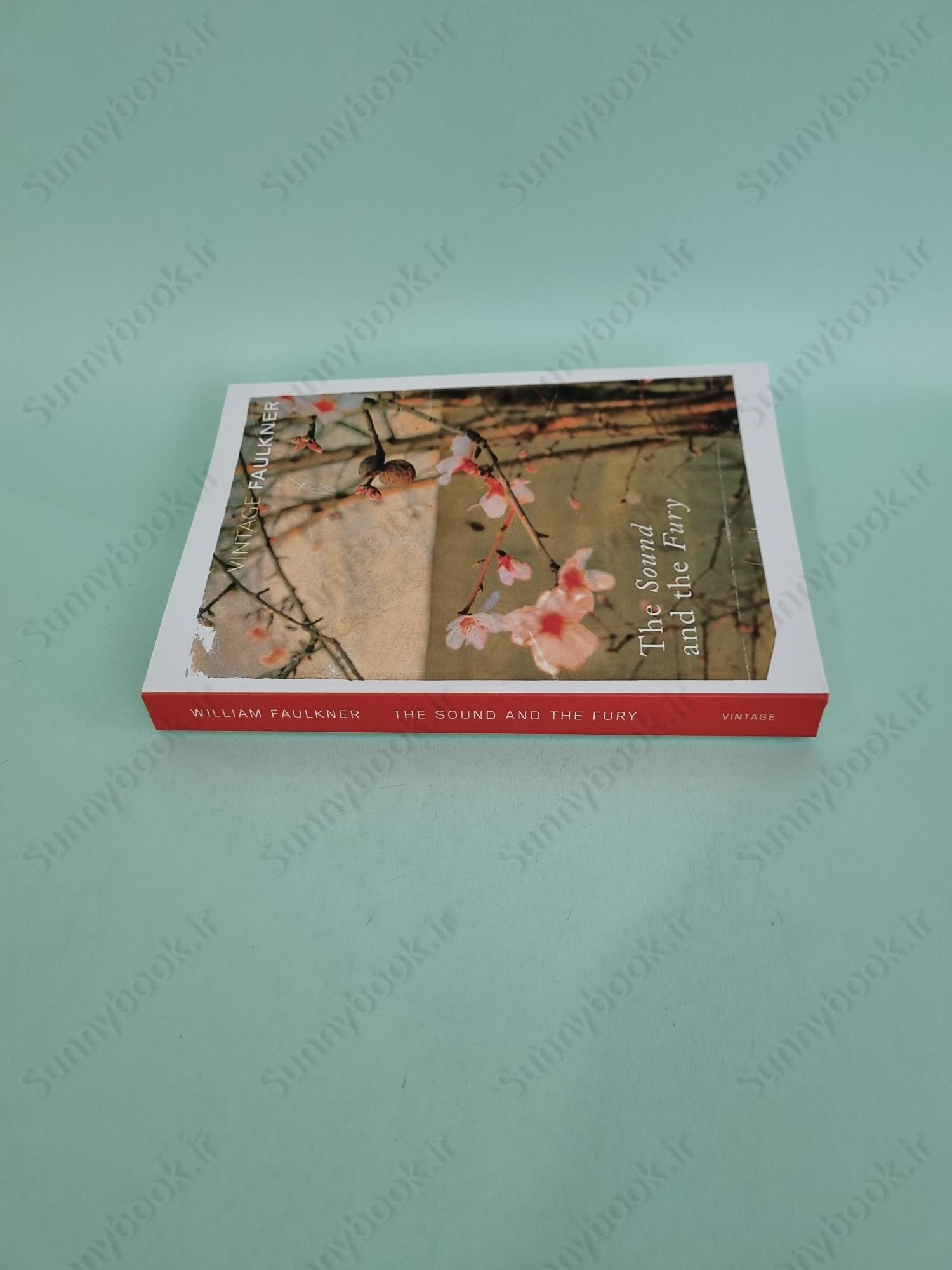 The Sound and the Fury main 1 4