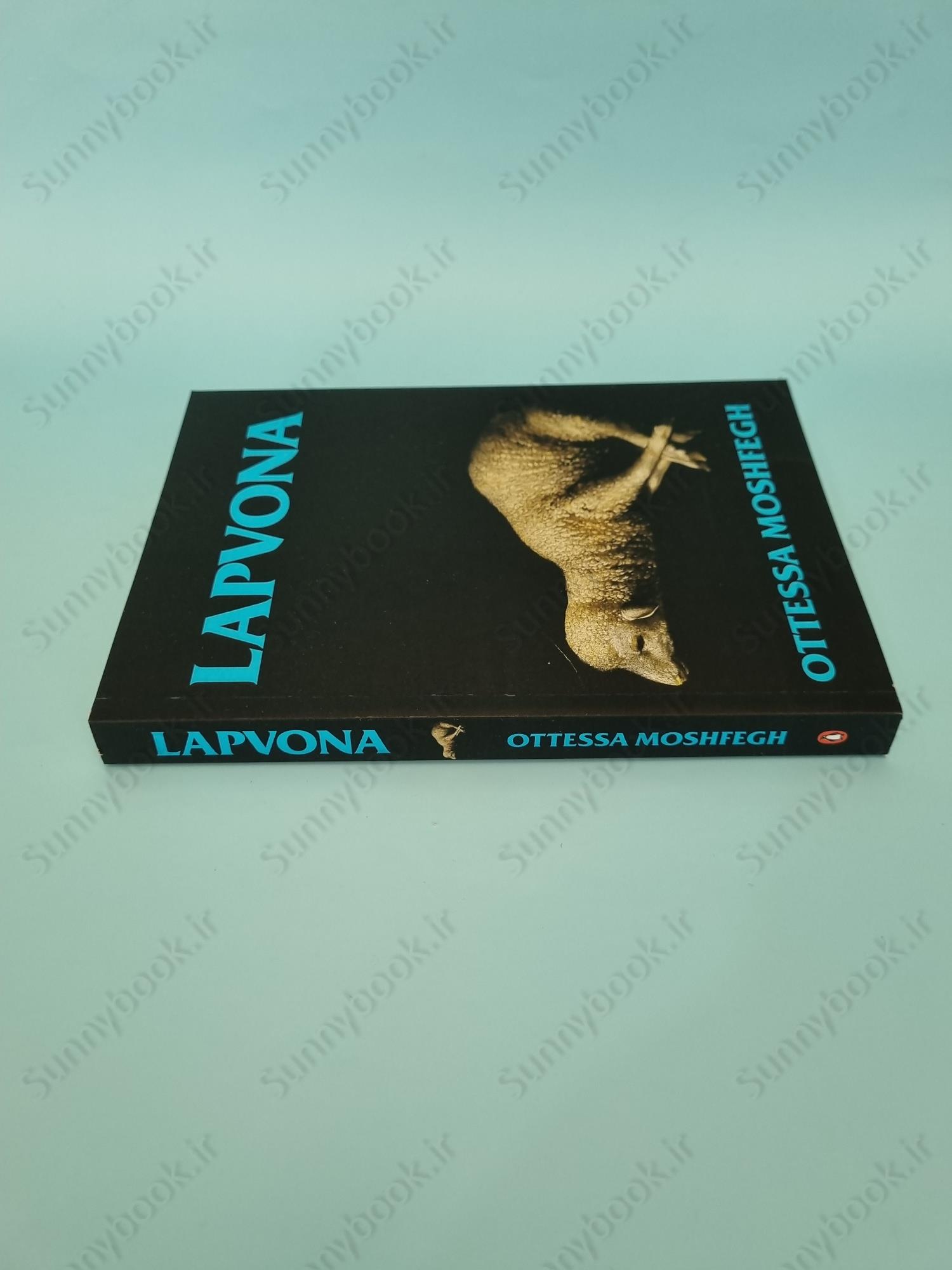 Lapvona: The unmissable Sunday Times Bestseller main 1 4