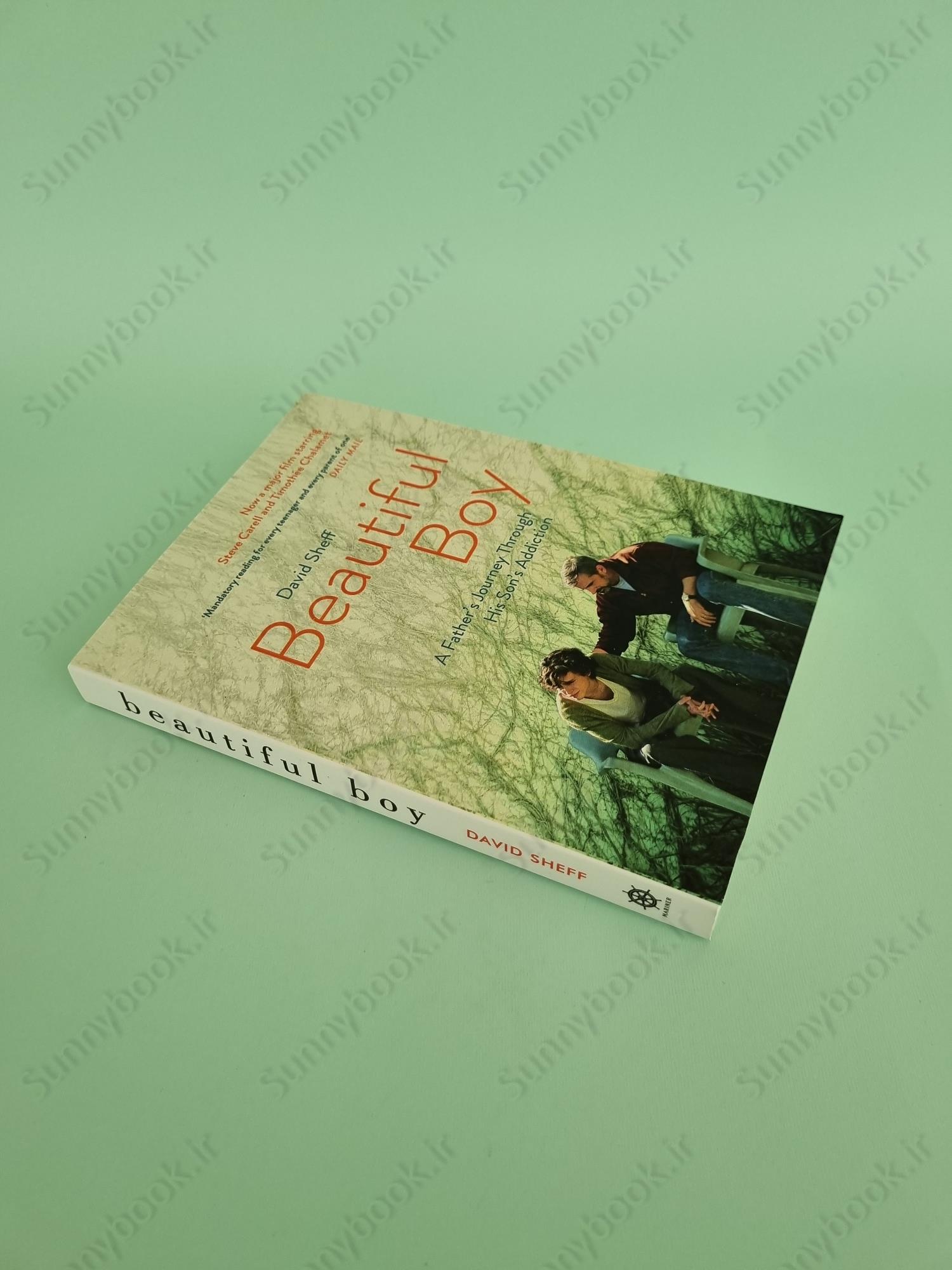 Beautiful Boy: A Father's Journey Through His Son's Addiction main 1 3