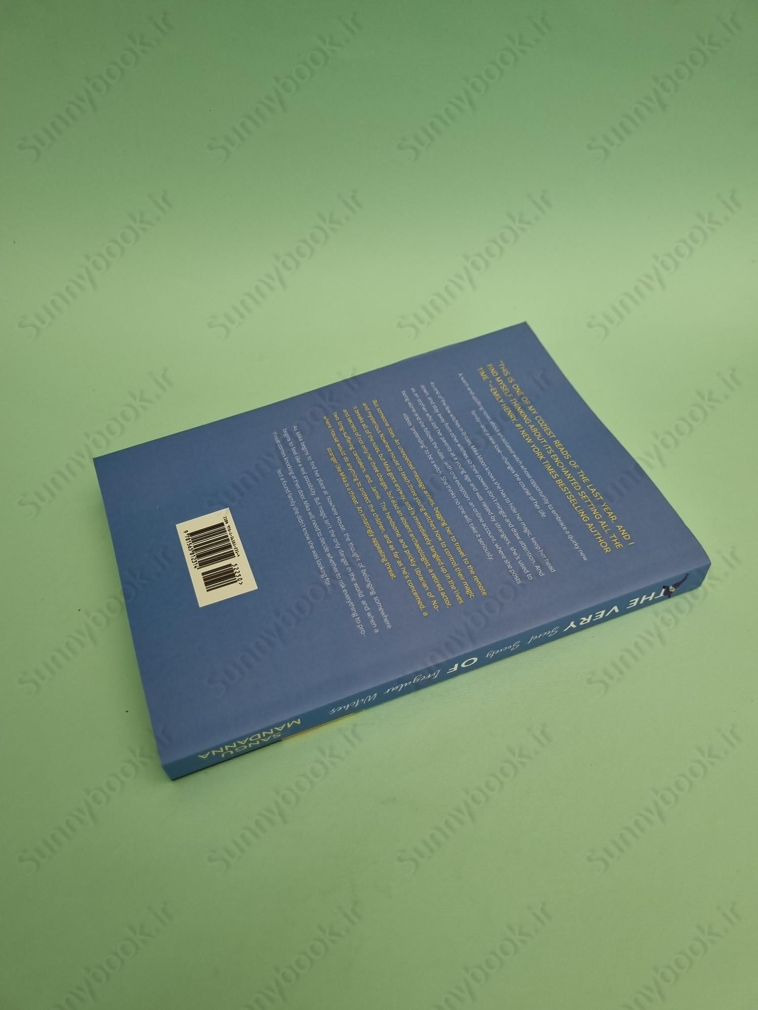 The Very Secret Society of Irregular Witches main 1 5