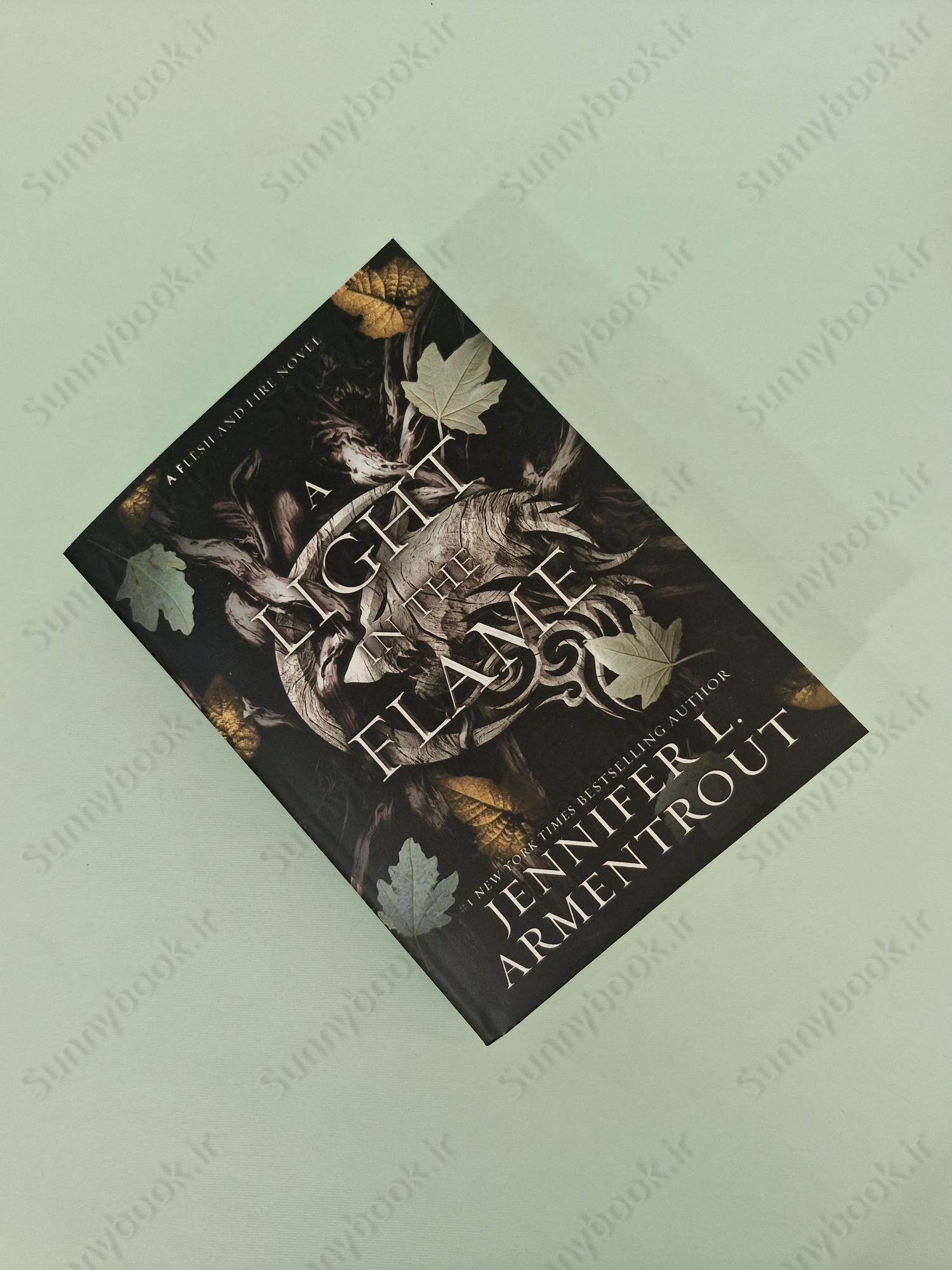 A Light in the Flame (A Flesh and Fire 2) main 1 2