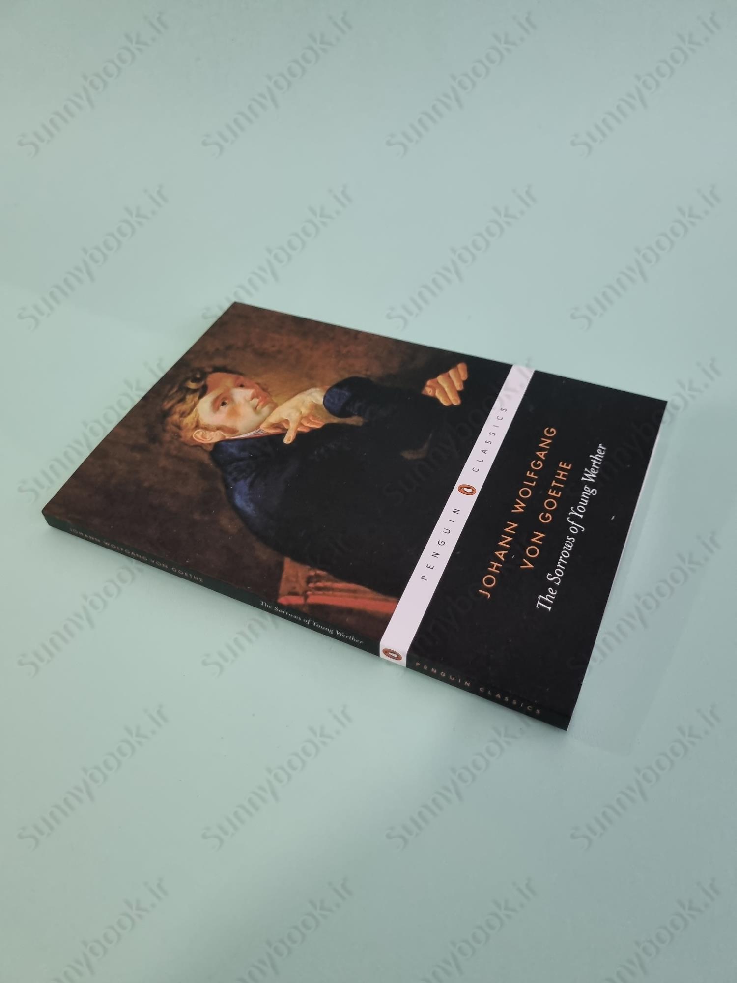 The Sorrows of Young Werther (Penguin Classics) main 1 3