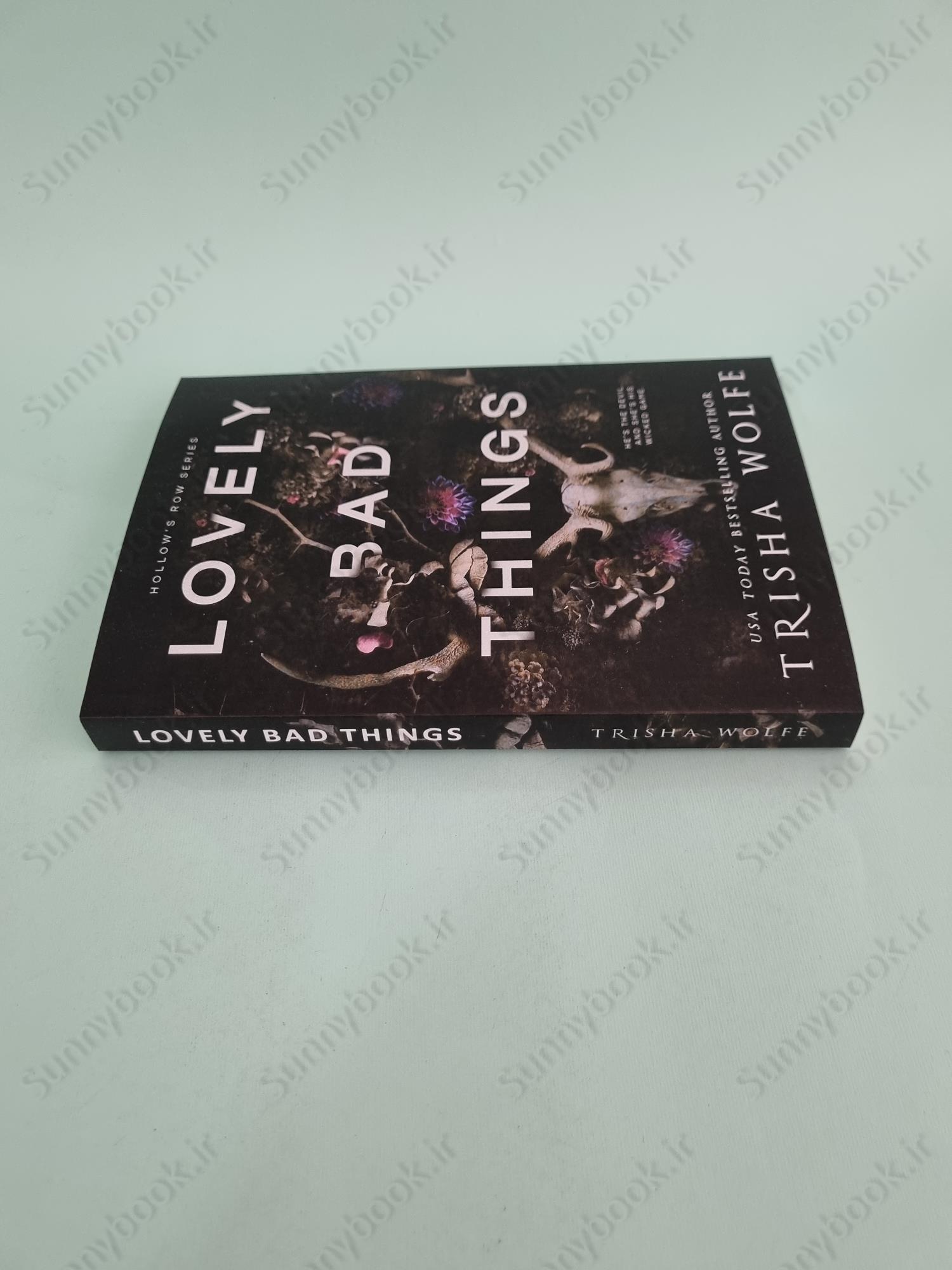 Lovely Bad Things (Hollow's Row 1) main 1 4