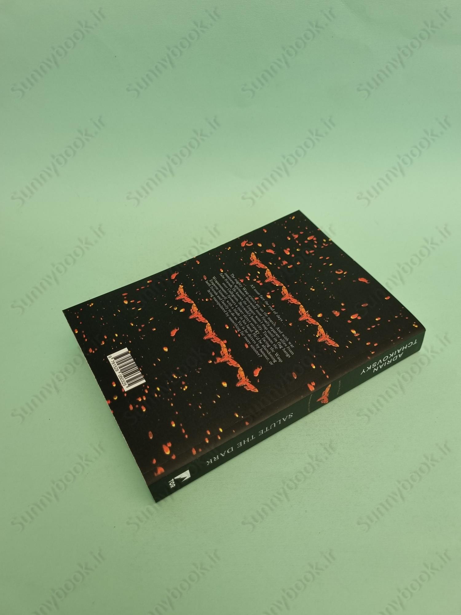 Salute the Dark (Shadows of the Apt Book 4) main 1 5