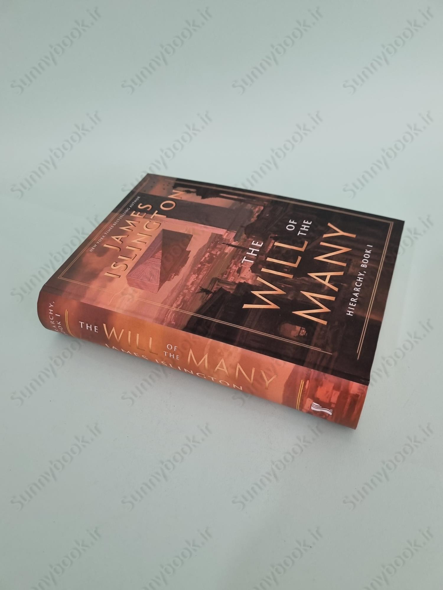 The Will of the Many (Hierarchy Book 1) main 1 3