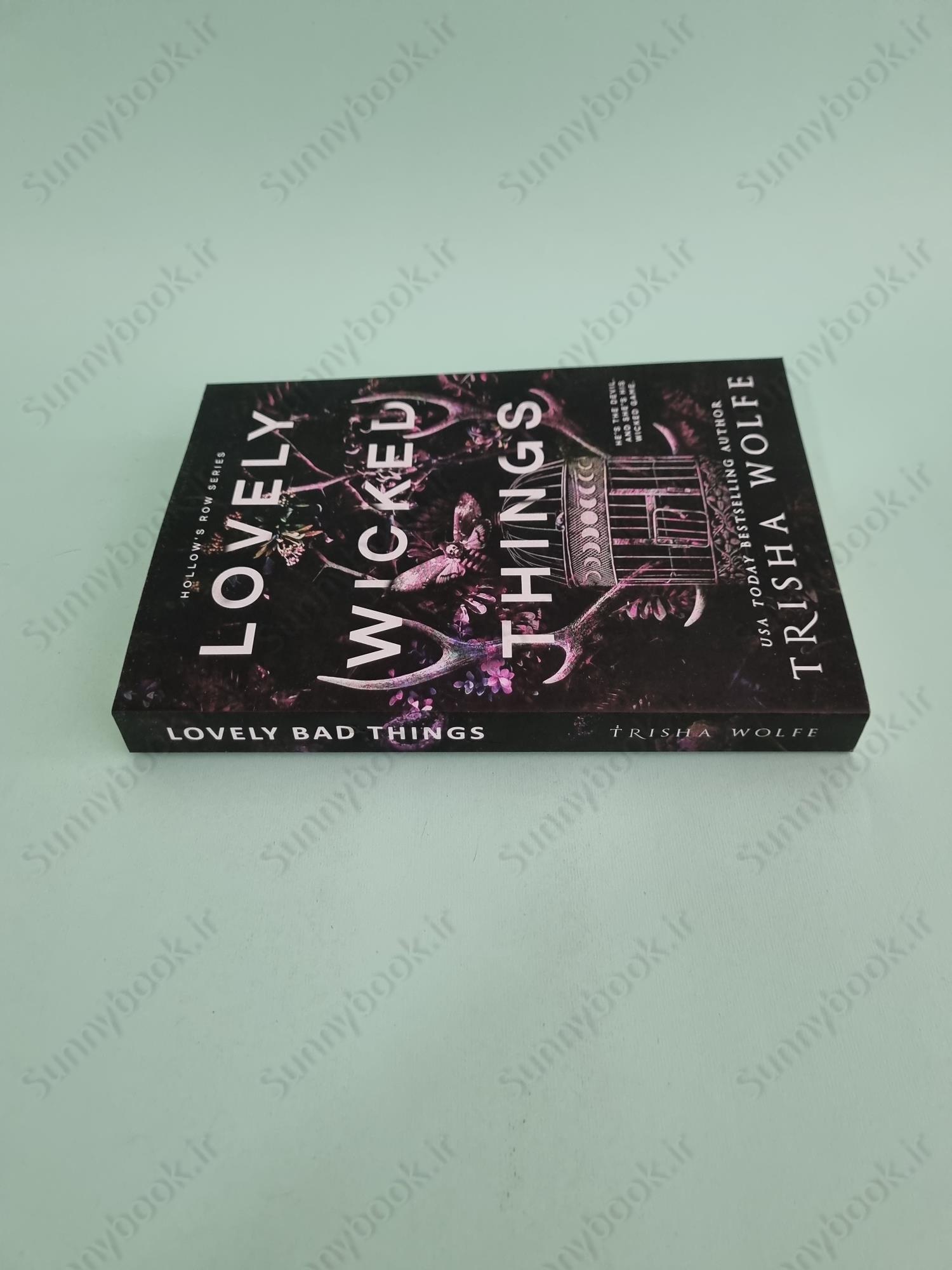 Lovely Wicked Things (Hollow's Row Book 3) main 1 4