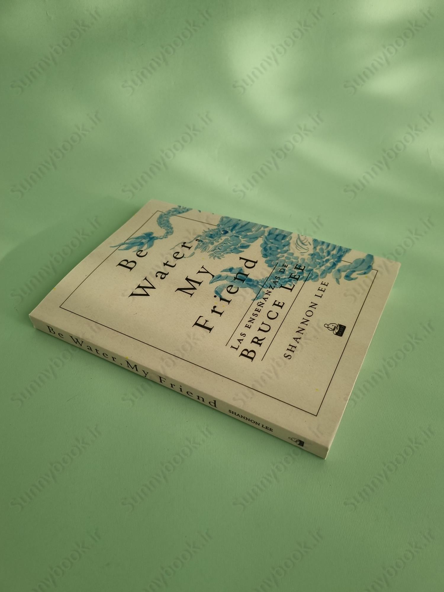 Be Water, My Friend: The Teachings of Bruce Lee main 1 3