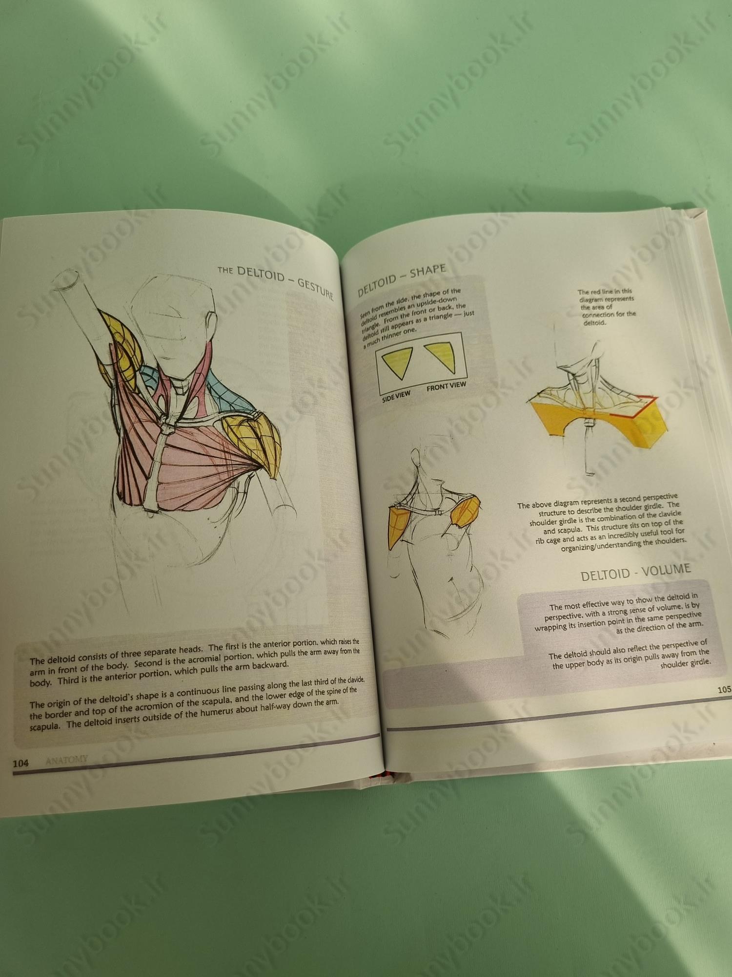 Figure Drawing: Design and Invention main 1 8