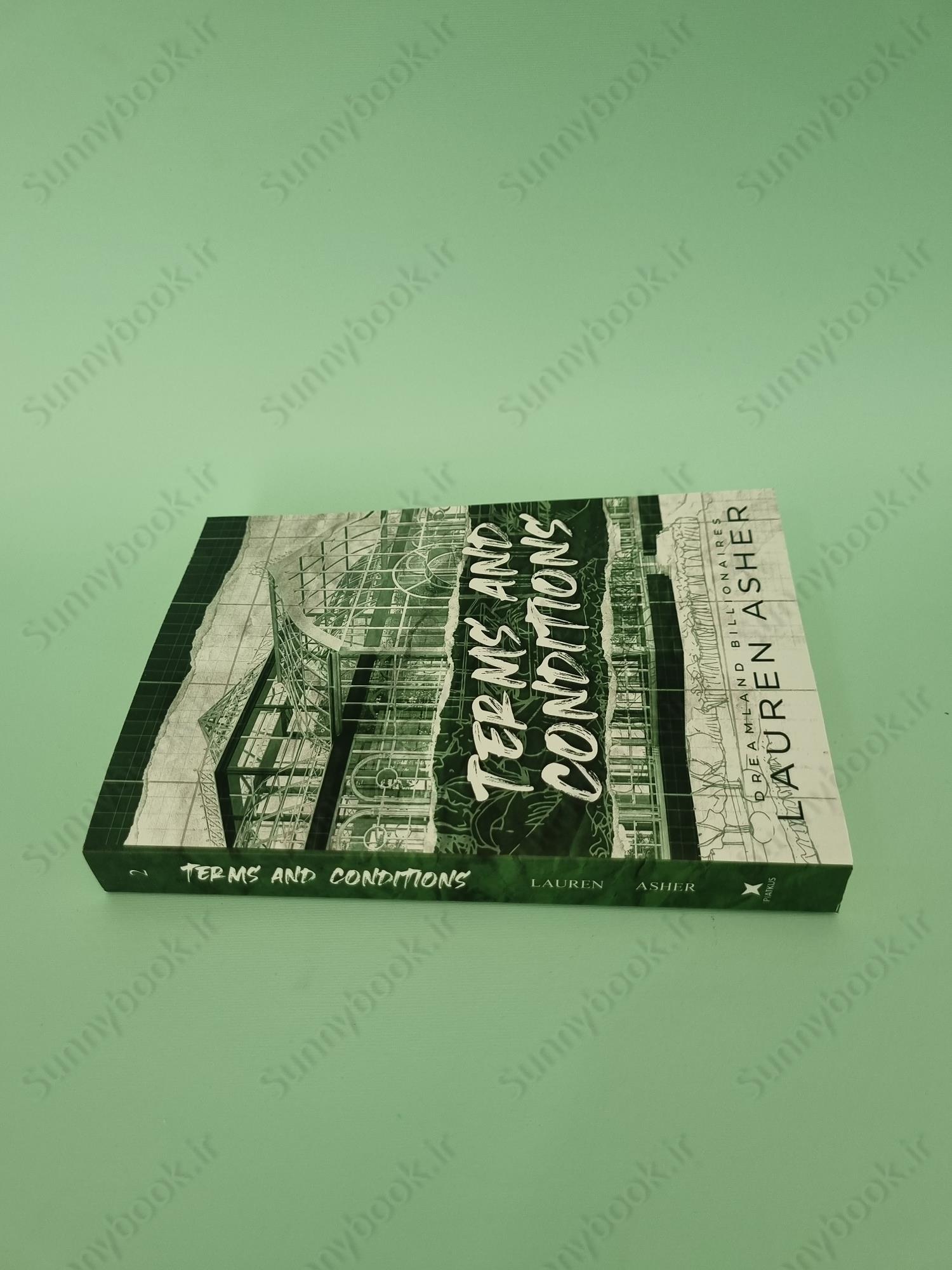 Terms and Conditions (Dreamland Billionaires 2) main 1 4