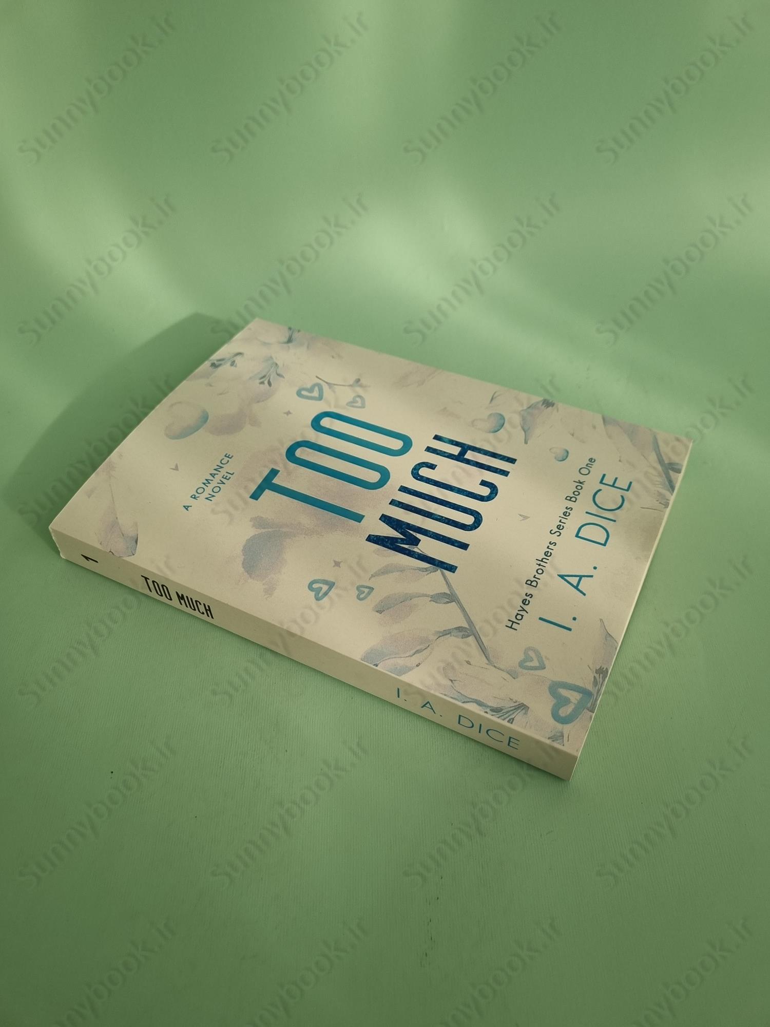 Too Much (Hayes Brothers Book 1) main 1 3