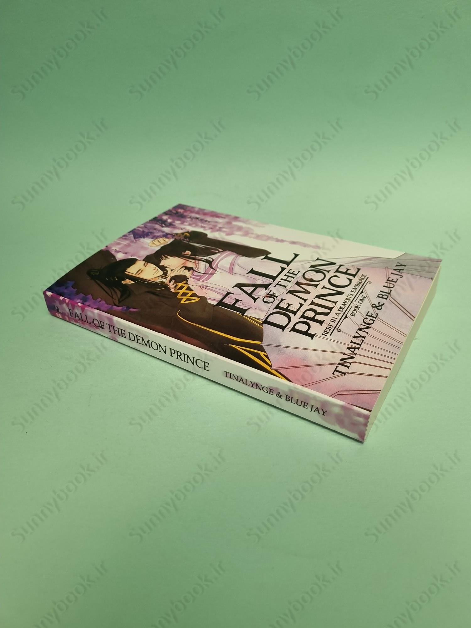 Fall of the Demon Prince (Rest in a Demon's Embrace 1) main 1 3