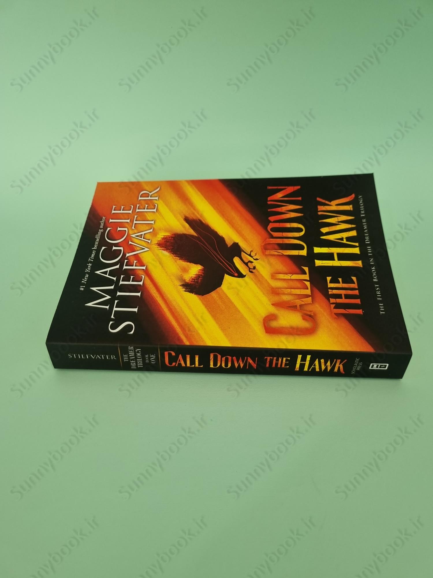 Call Down the Hawk (Dreamer 1) main 1 5