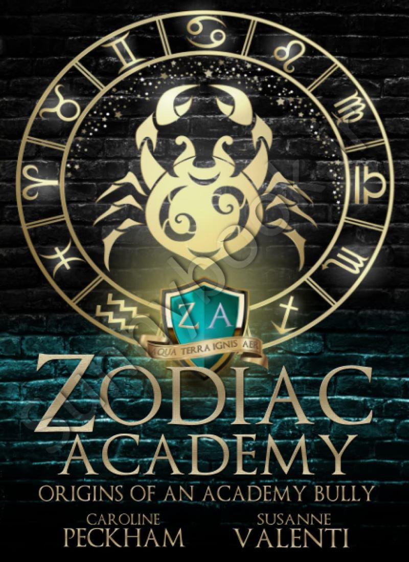 Zodiac Academy 0.5: Origins of an Academy Bully Model.Title