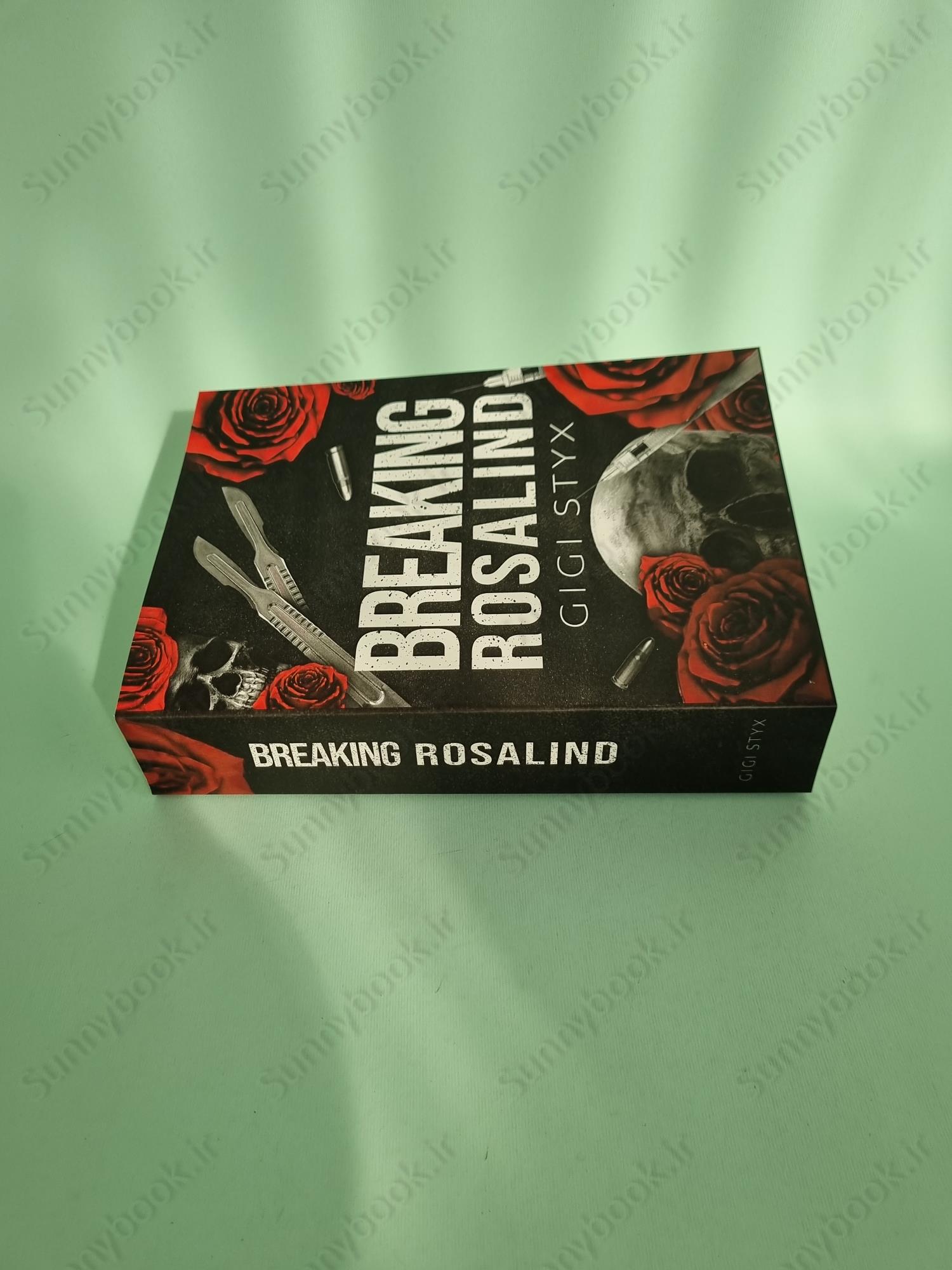 Breaking Rosalind (Morally Black Book 3) main 1 4