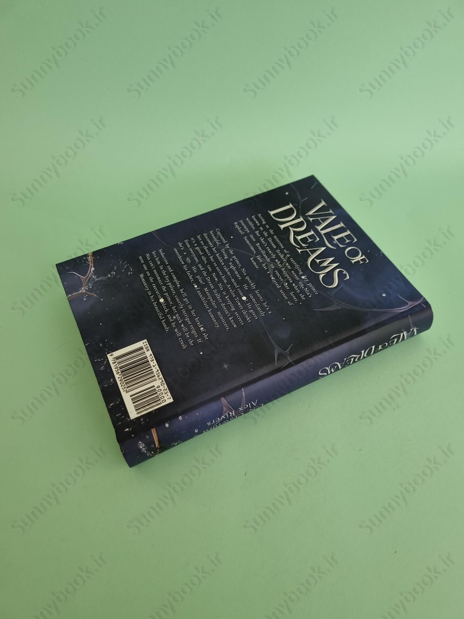 Vale of Dreams (Fey Spy Academy Book 2) main 1 5