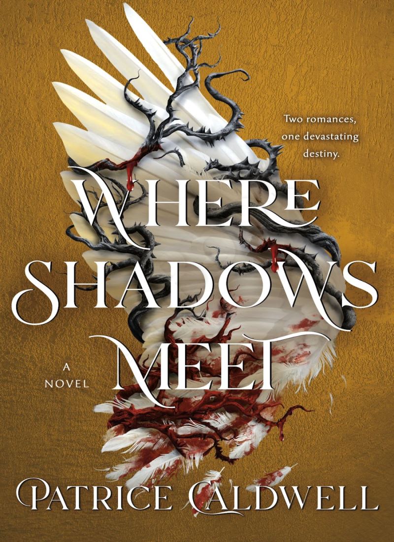 Where Shadows Meet Book 1 Model.Title