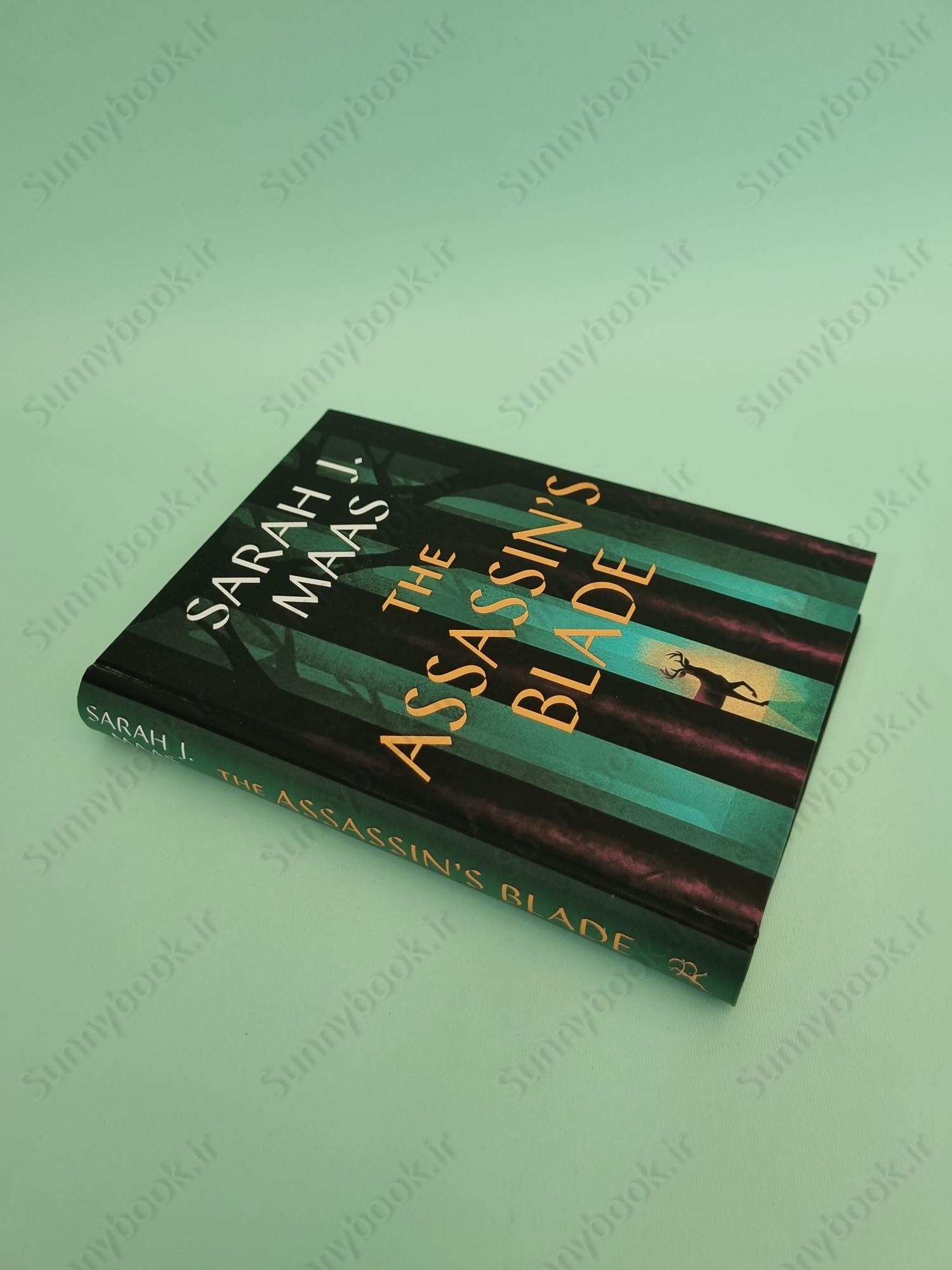 The Assassin's Blade: The Throne of Glass Prequel Novellas (Throne of Glass, 8) main 1 3