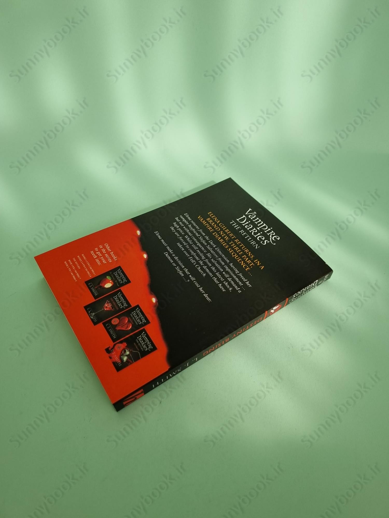 The Vampire Diaries: The Hunters: Destiny Rising: Book 10 main 1 5