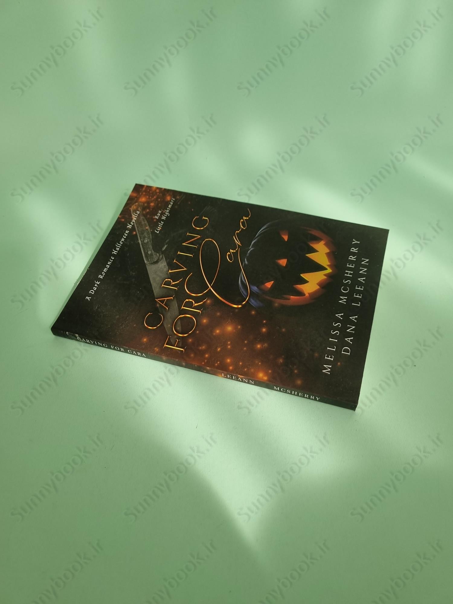 Carving for Cara (Wrecked Book 1) main 1 3