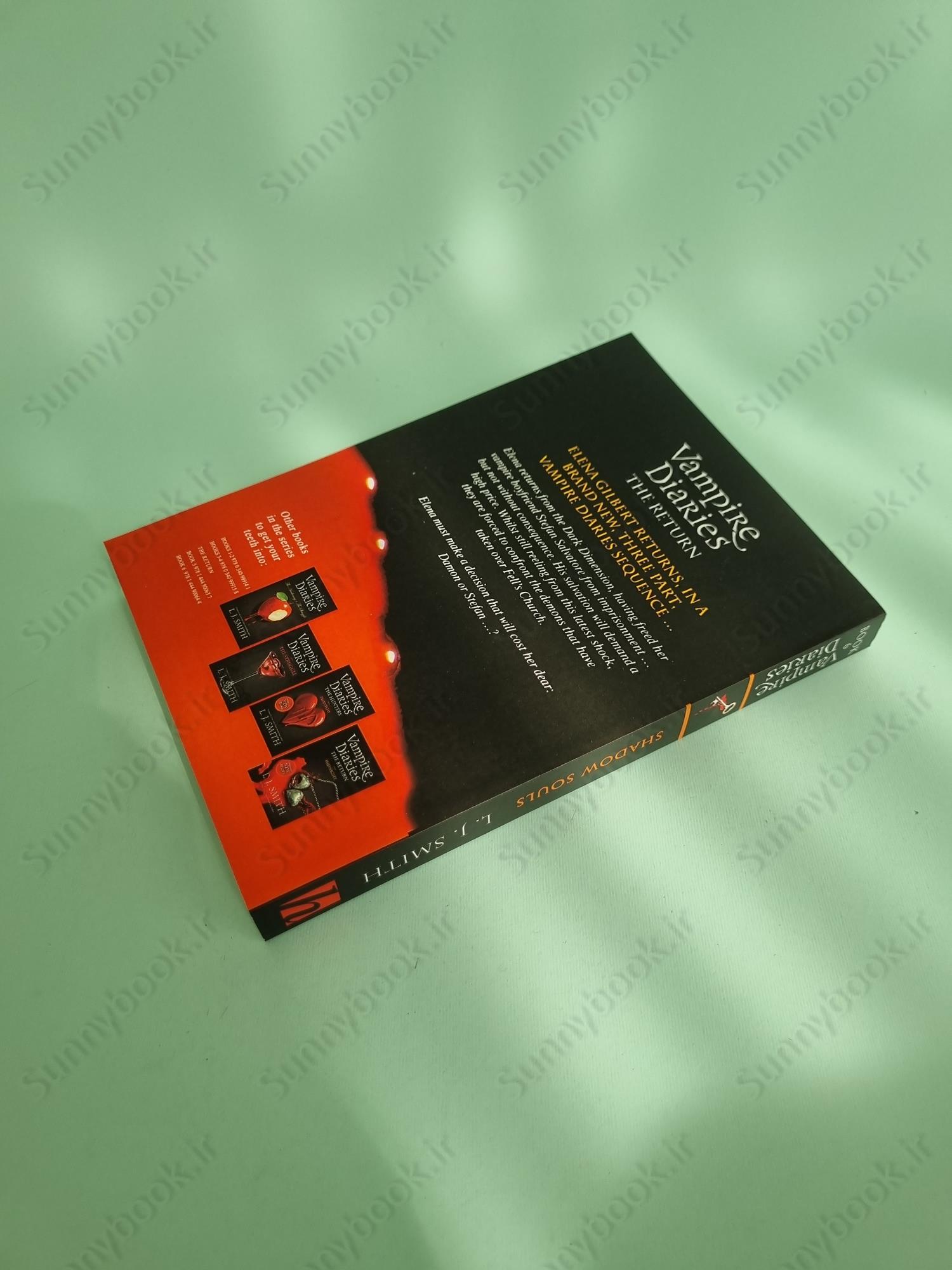 The Vampire Diaries The Return: Shadow Souls Book 6 main 1 4