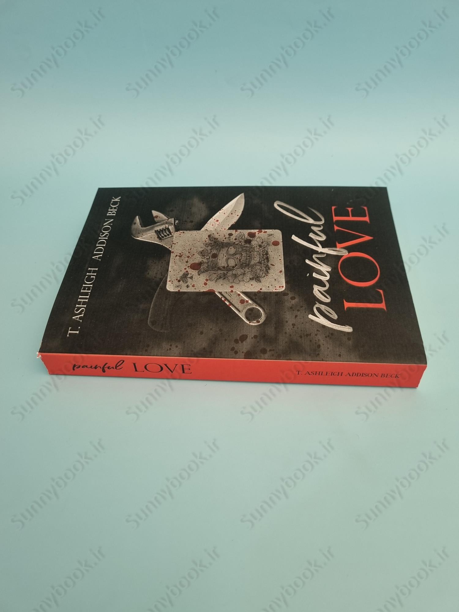 Painful Love (Kings of Aces 2) main 1 4