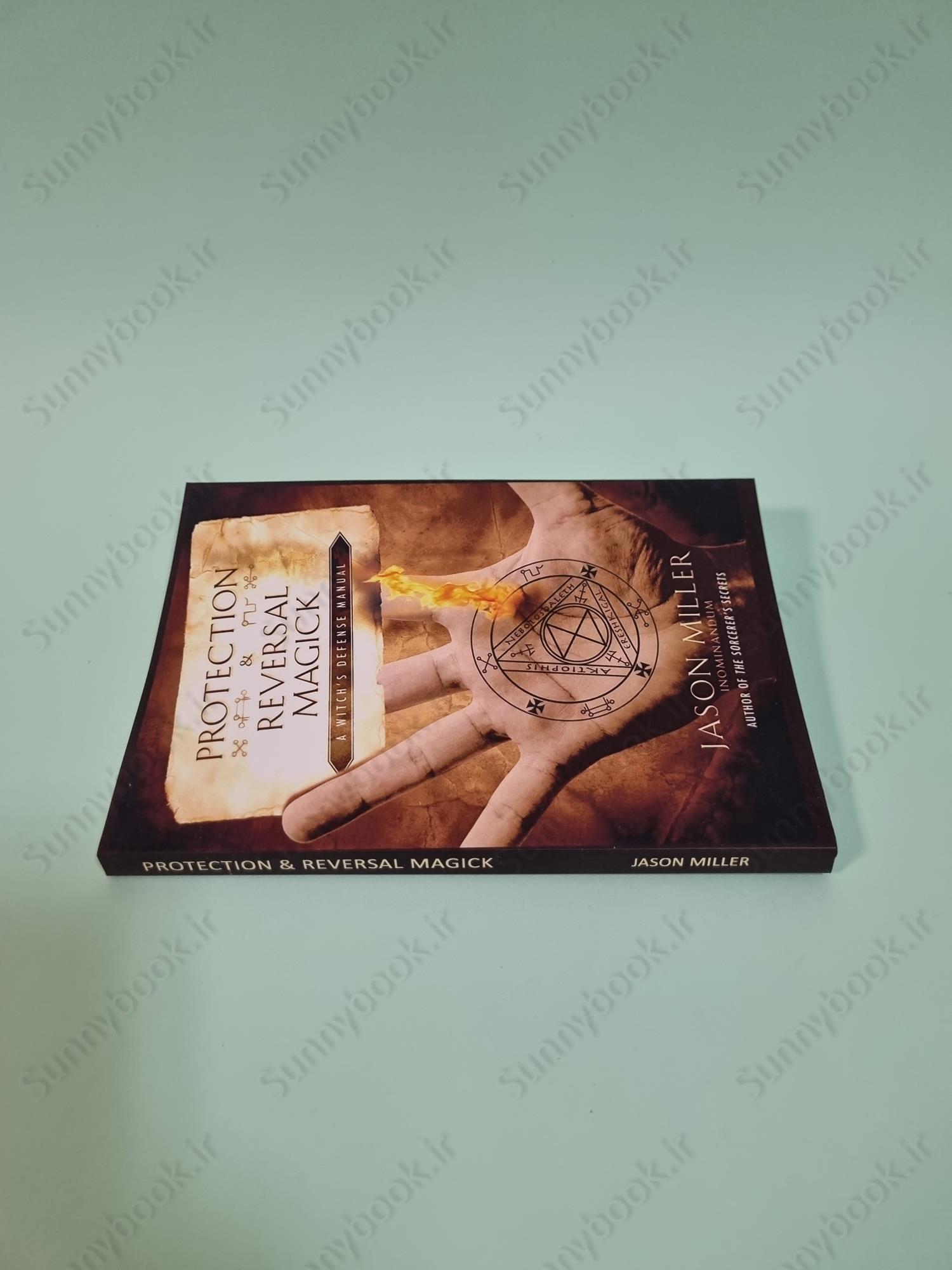 Protection & Reversal Magick: A Witch's Defense Manual (Beyond 101) main 1 4
