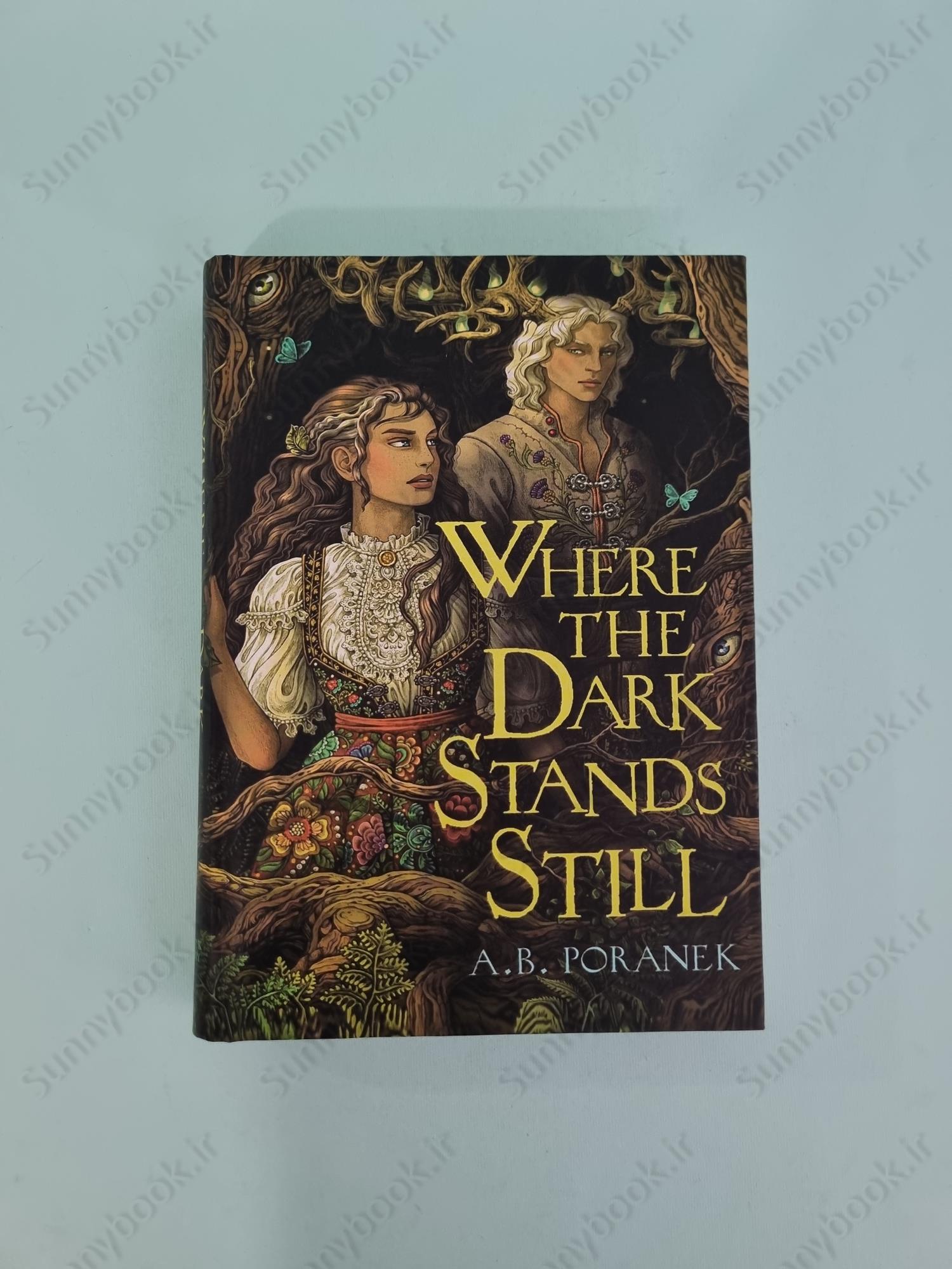 Where the Dark Stands Still main 1 2