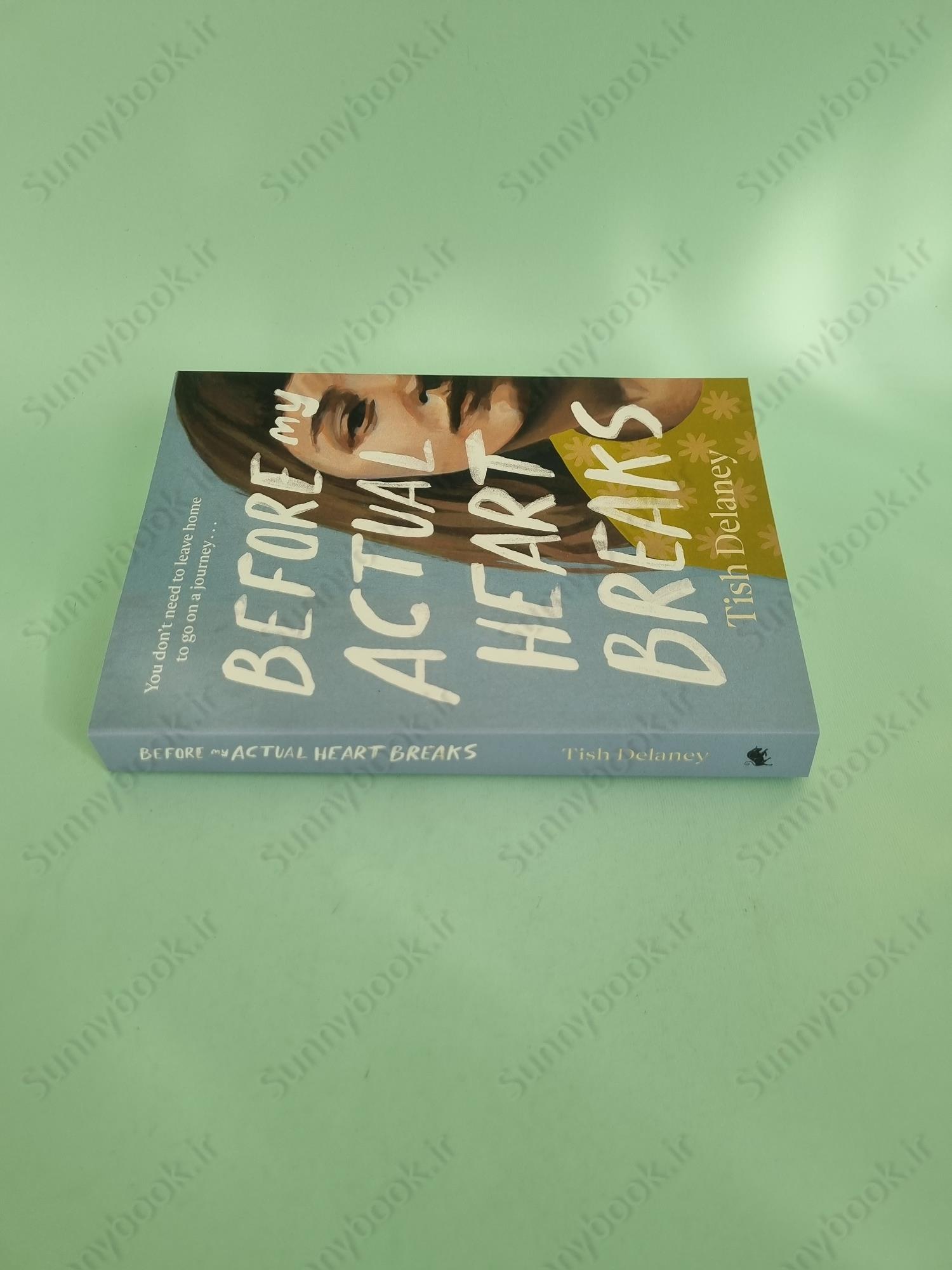 Before My Actual Heart Breaks main 1 4