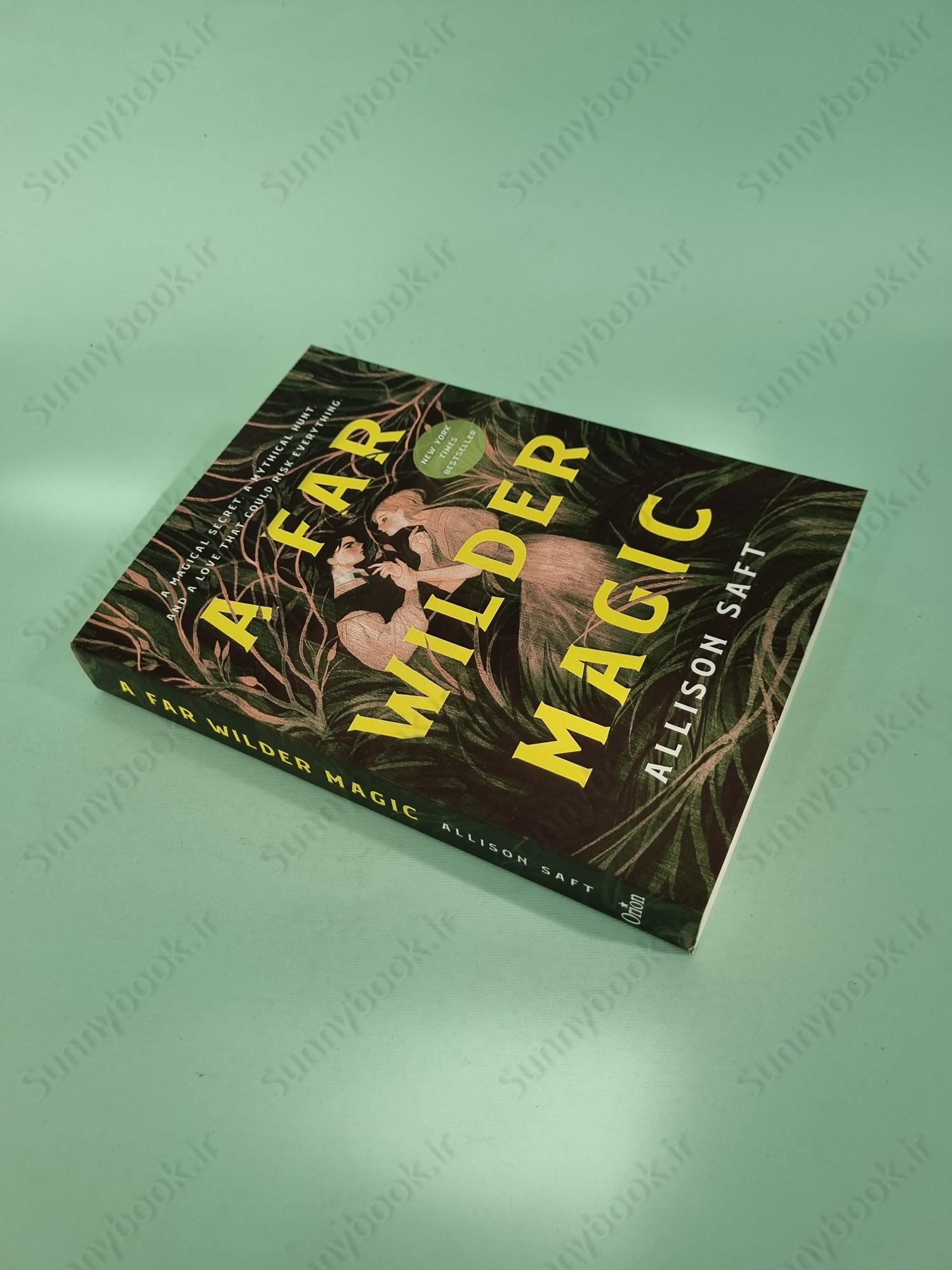 A Far Wilder Magic main 1 3