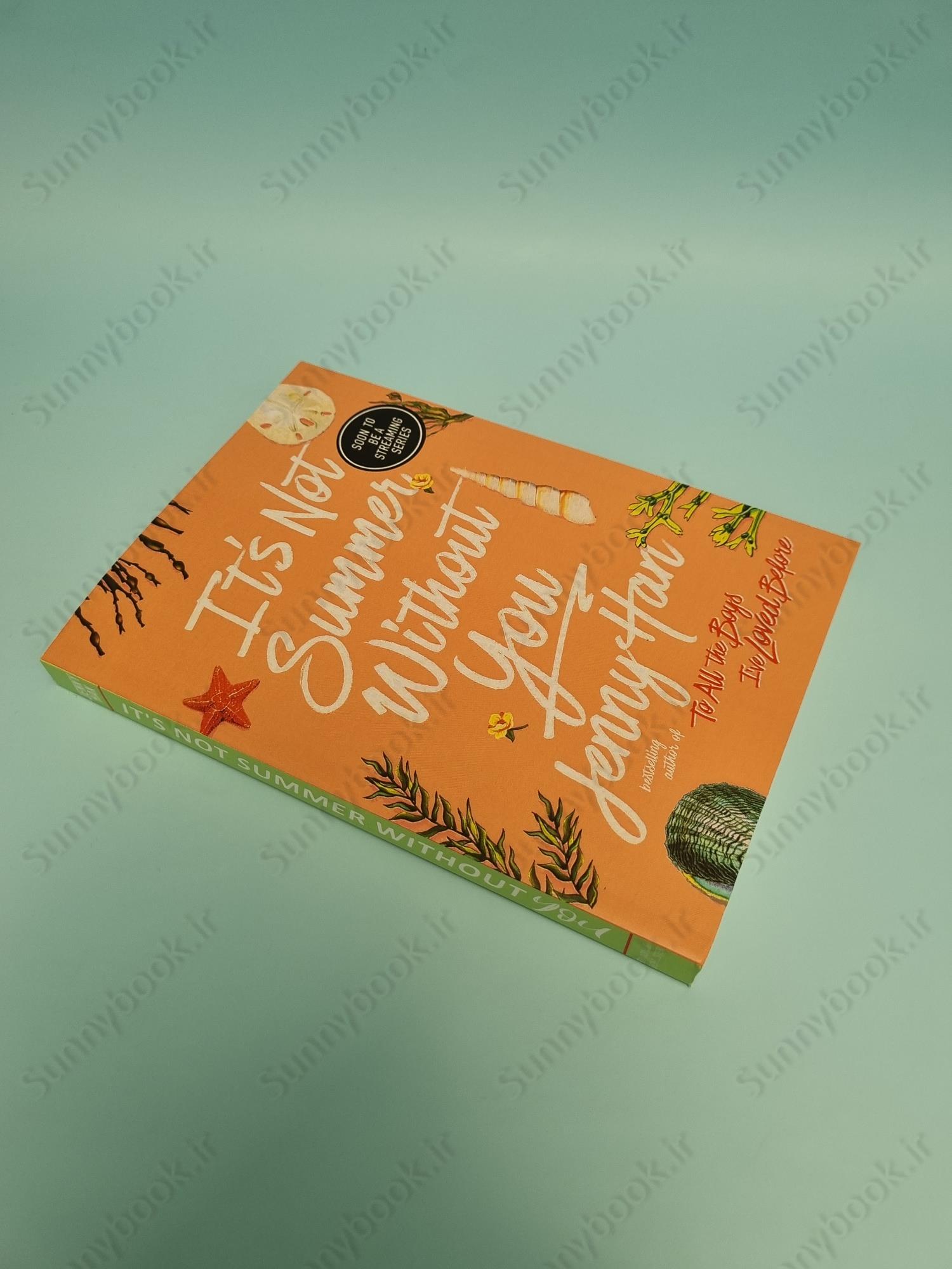 It's Not Summer Without You (The Summer I Turned Pretty 2) main 1 3