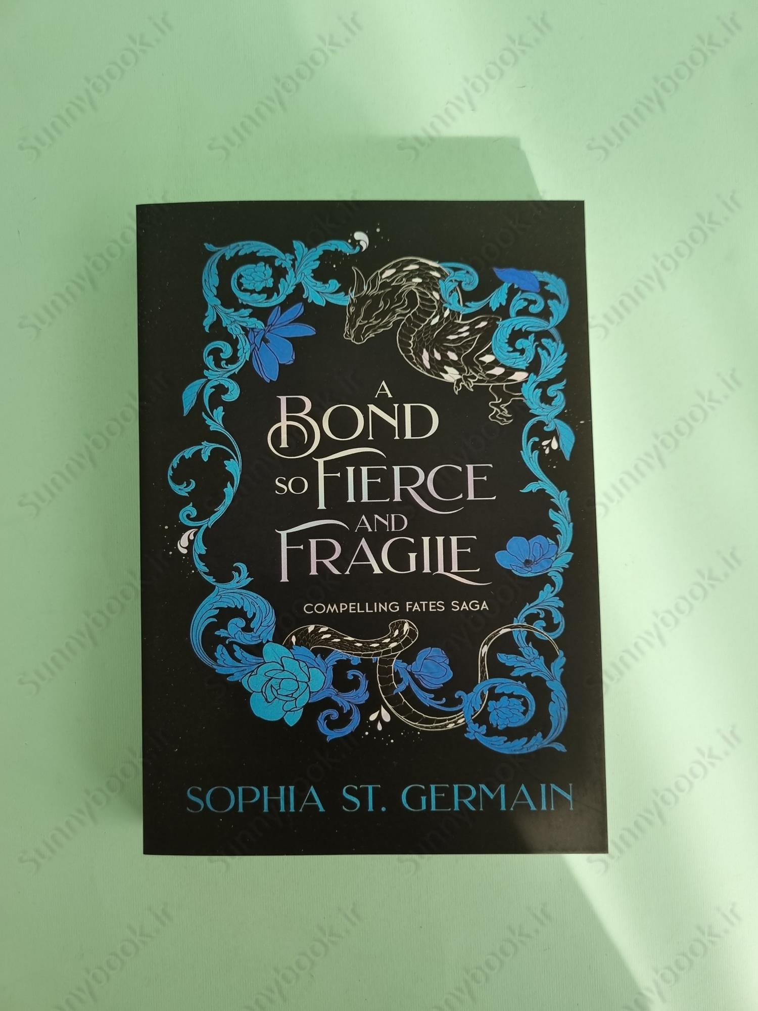 A Bond so Fierce and Fragile (Compelling Fates Saga 3) main 1 2