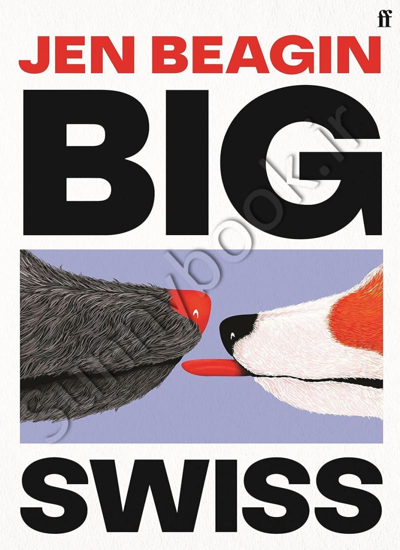 Big Swiss Model.Title