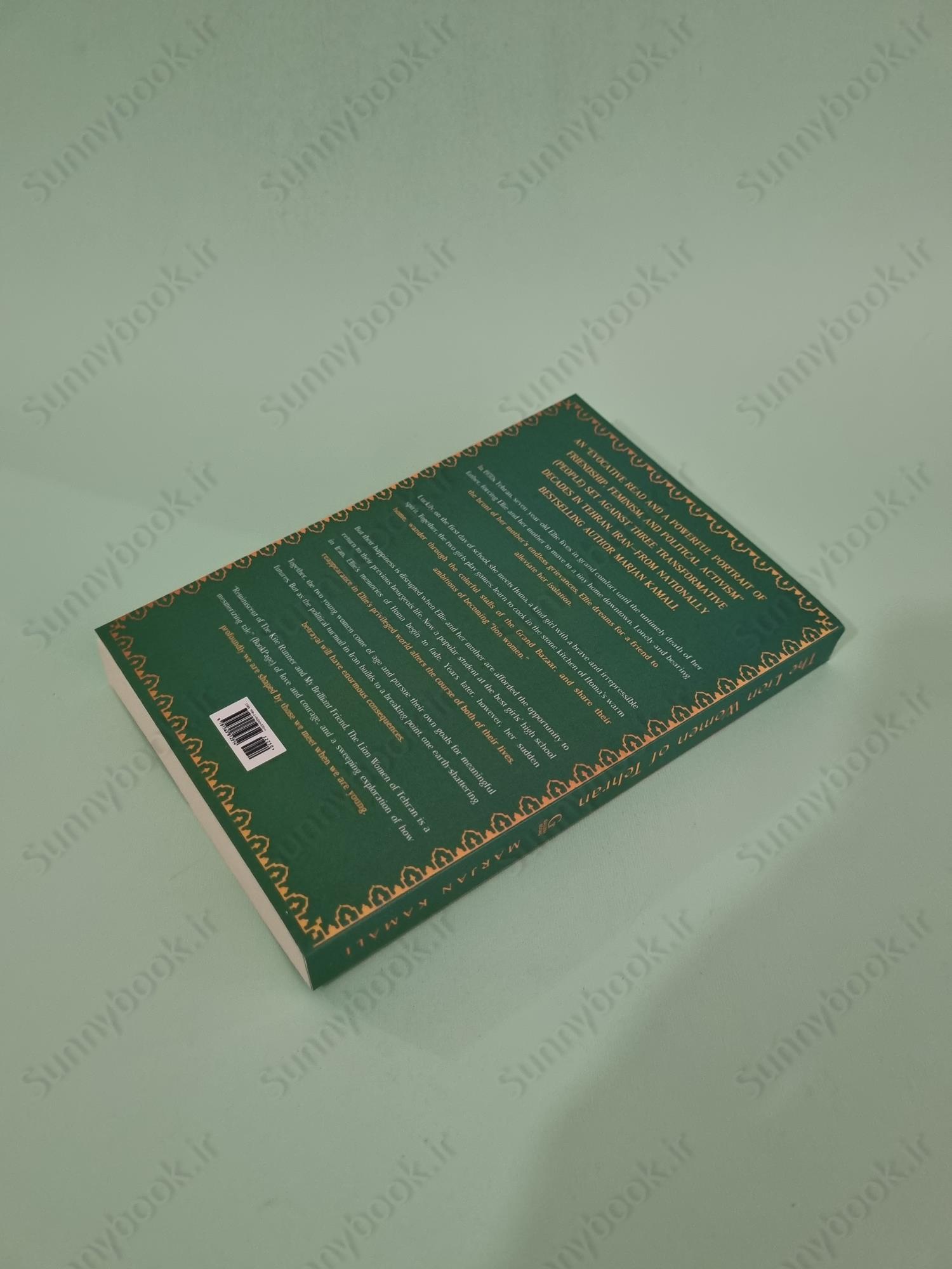 The Lion Women of Tehran main 1 5