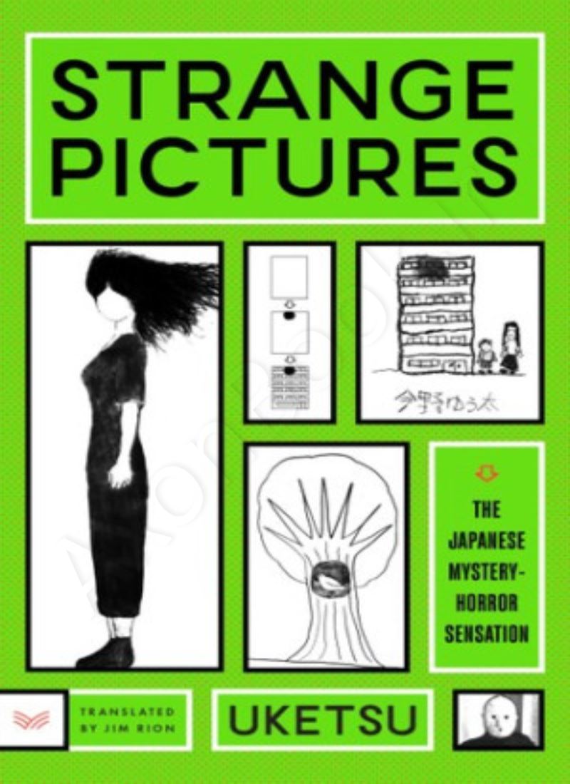 Strange Pictures Model.Title