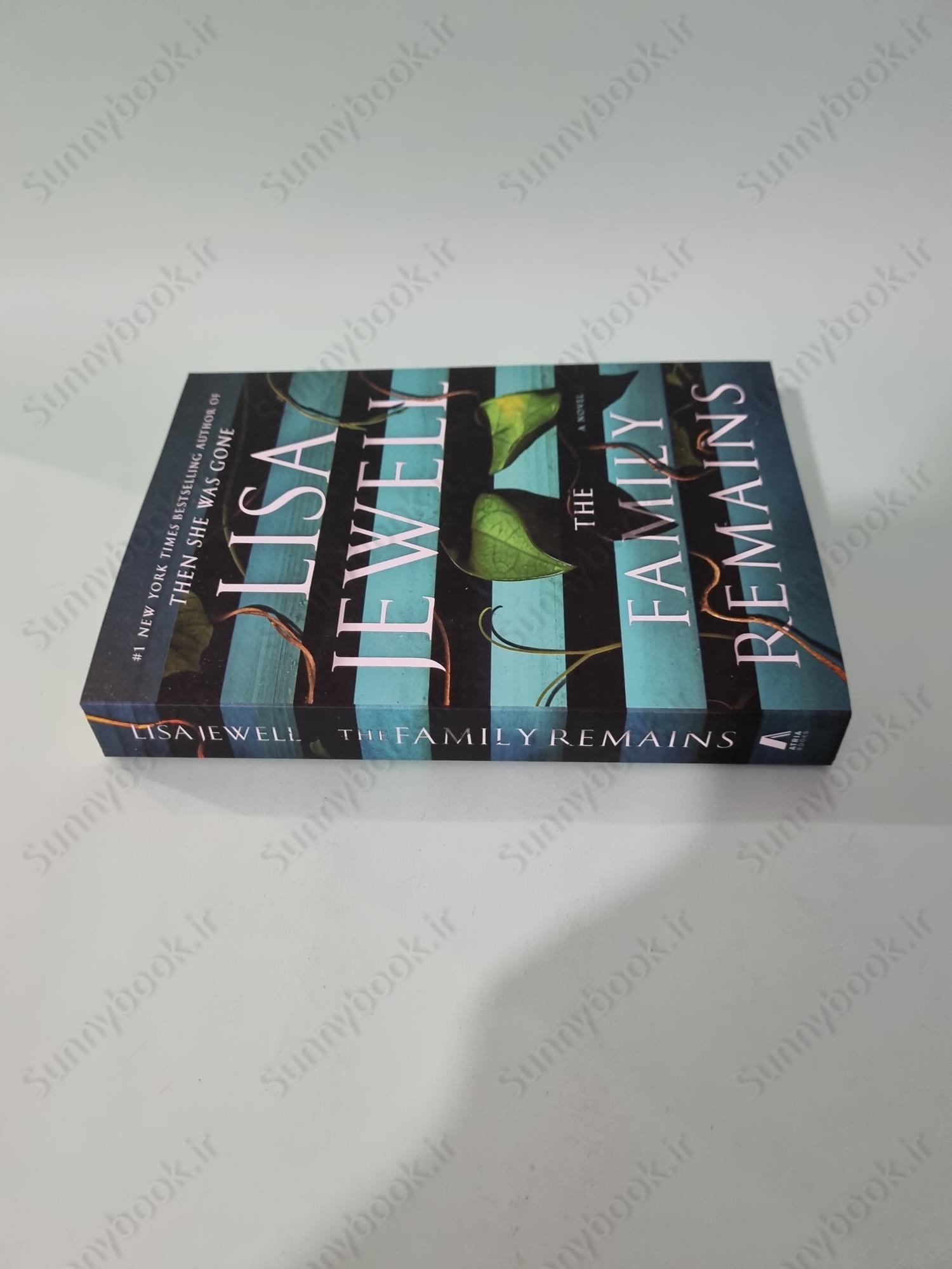 The Family Remains (The Family Upstairs 2) main 1 4