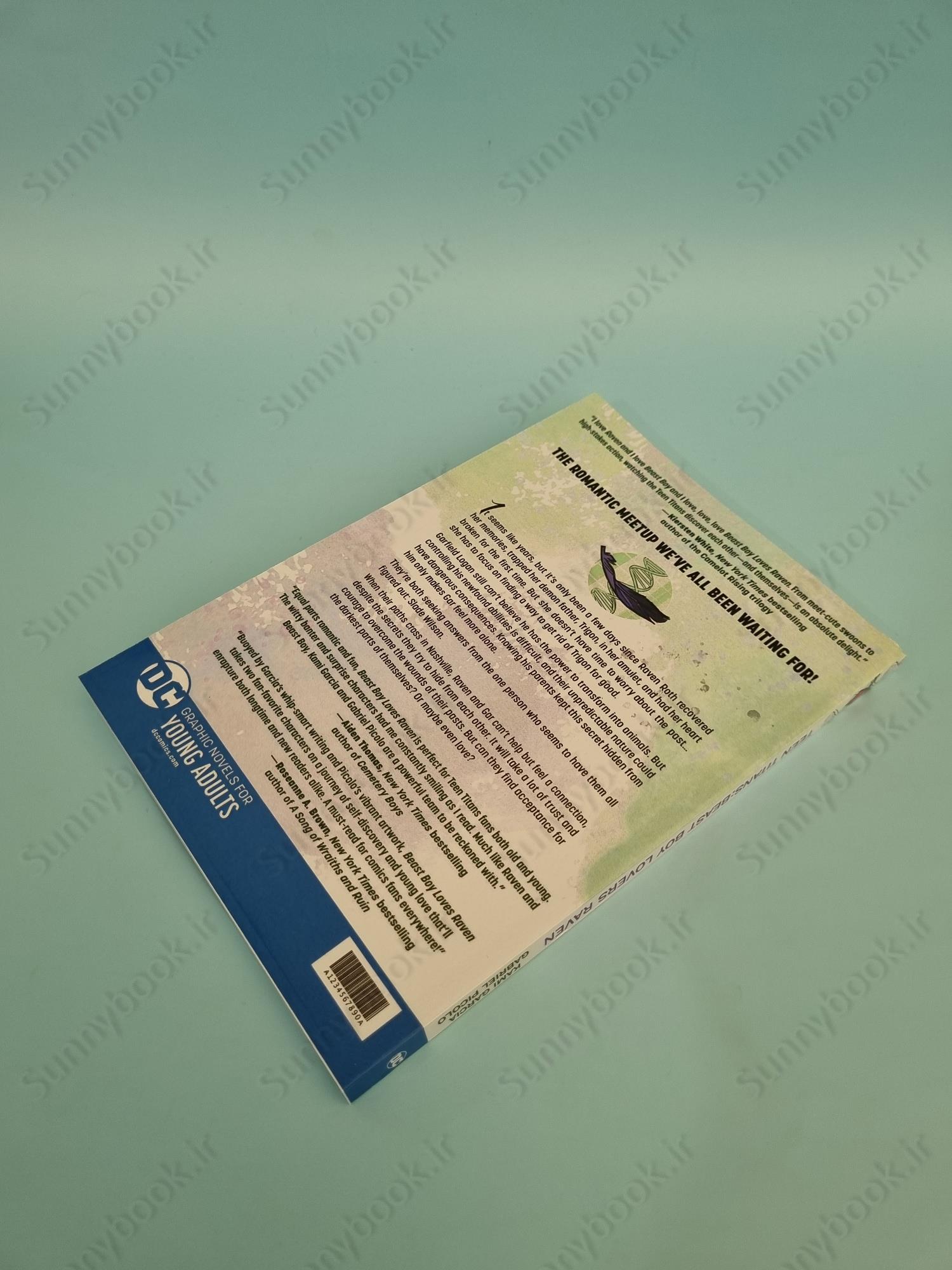 Teen Titans: Beast Boy Loves Raven (Teen Titans 3) main 1 5