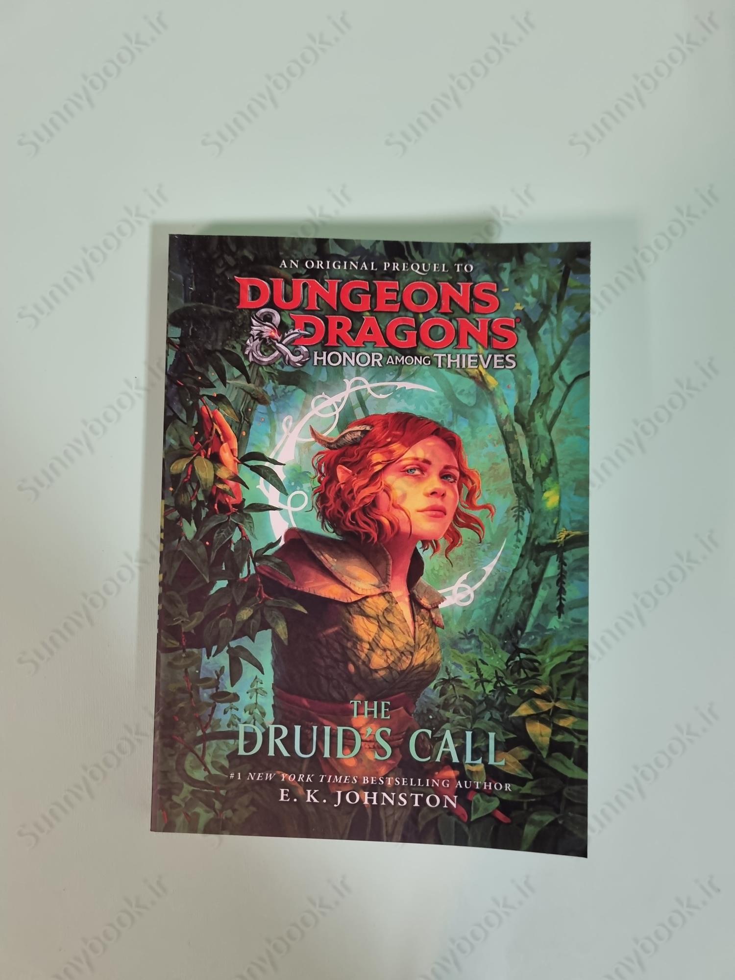 Honor Among Thieves: The Druid's Call main 1 2