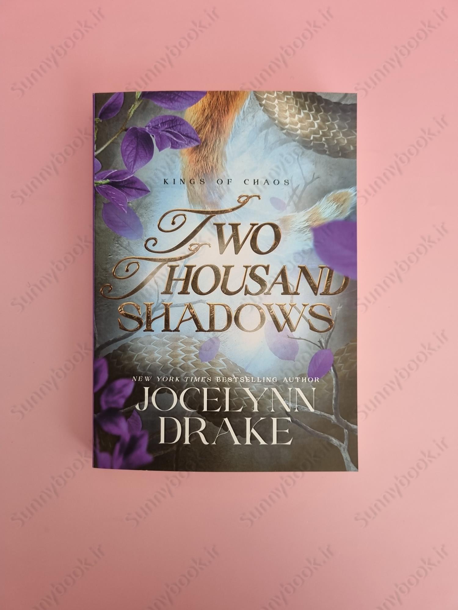 Two Thousand Shadows (Kings of Chaos 4) main 1 2