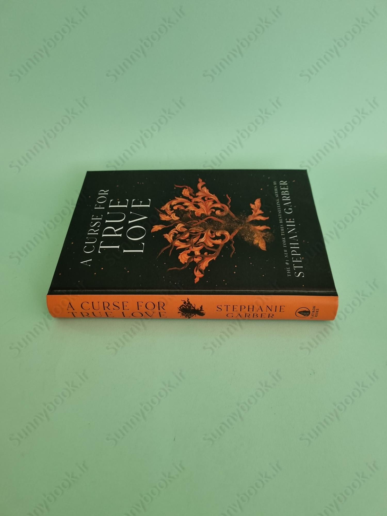 A Curse for True Love (Once Upon a Broken Heart #3) main 1 4