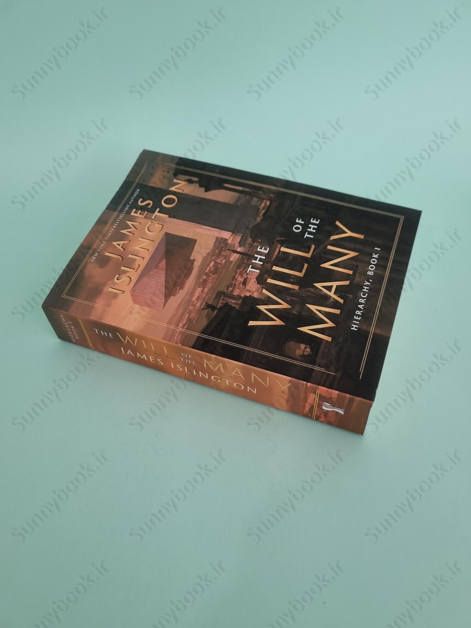 The Will of the Many (Hierarchy Book 1) main 1 3
