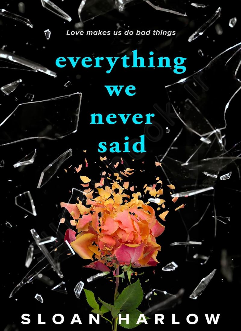 Everything We Never Said main 1 1