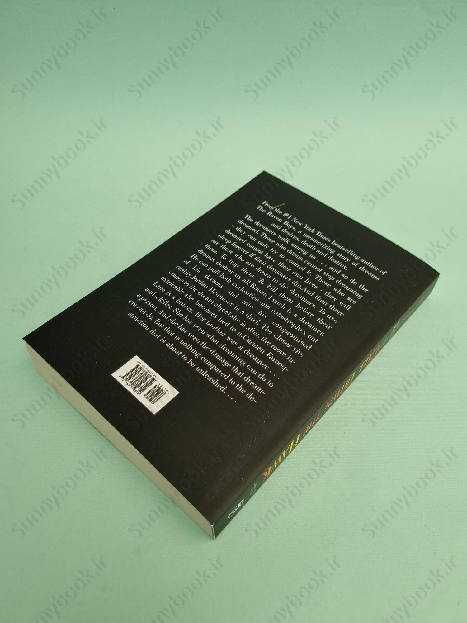 Call Down the Hawk (Dreamer 1) main 1 4