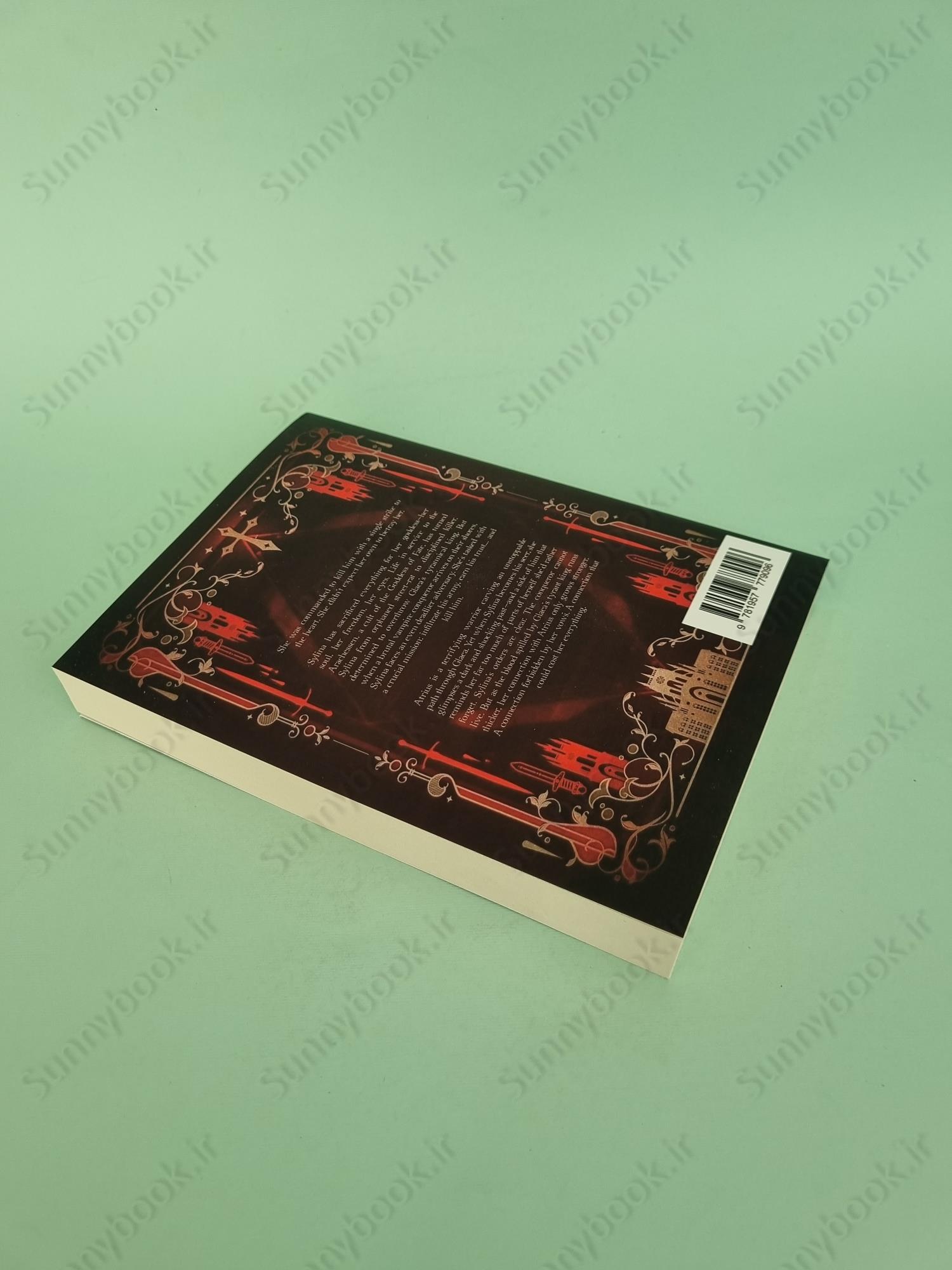 Slaying the Vampire Conqueror main 1 6