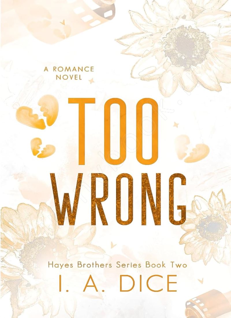Too Wrong (Hayes Brothers Book 2) main 1 1