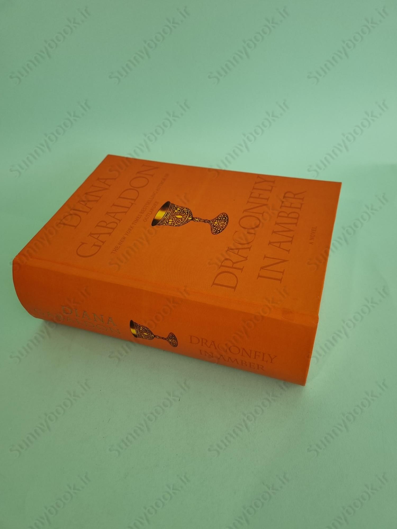 Dragonfly in Amber (Outlander 2) main 1 3